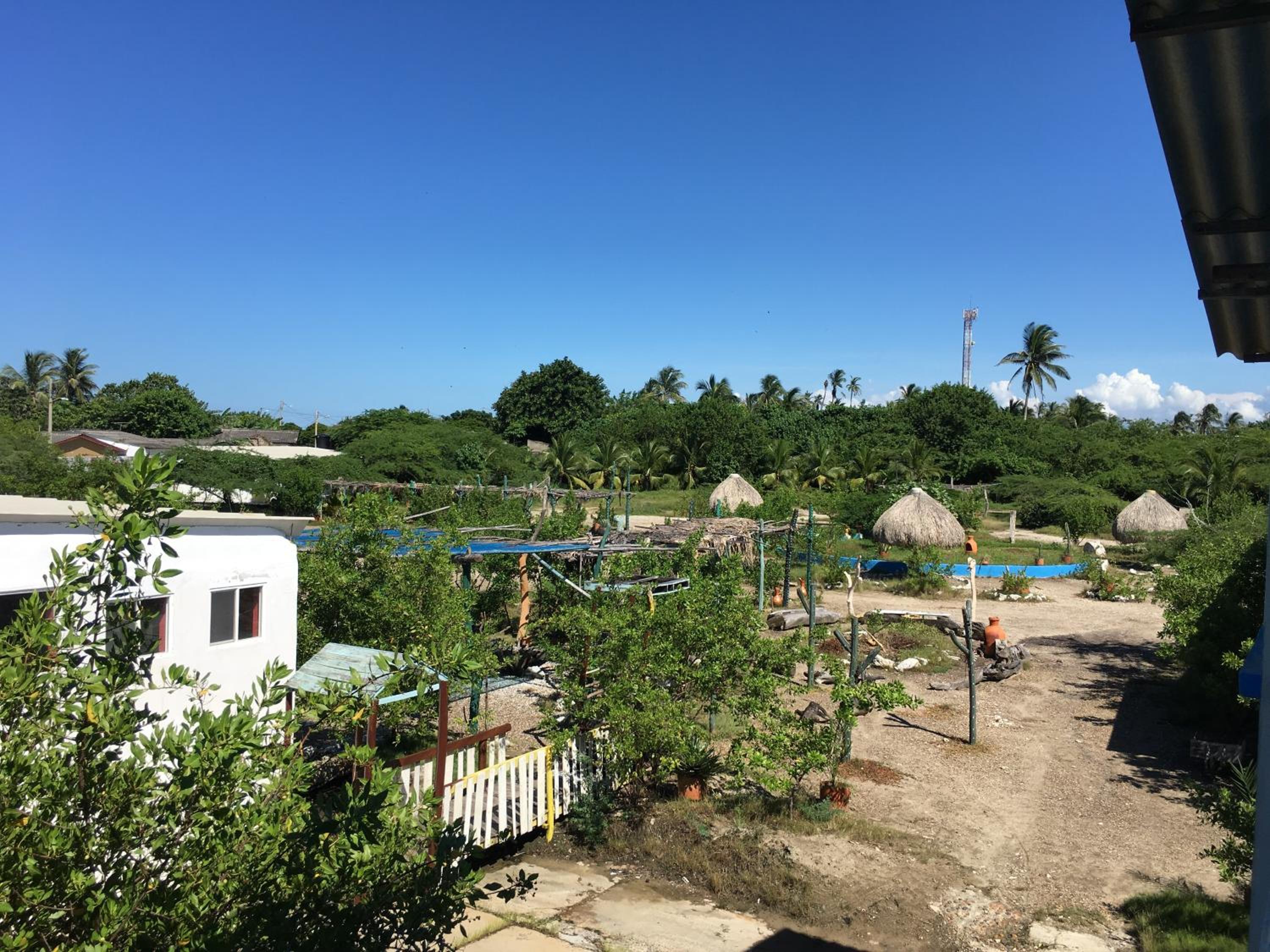 Galerazambahostal