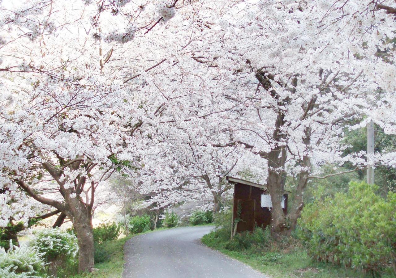 Photo 40