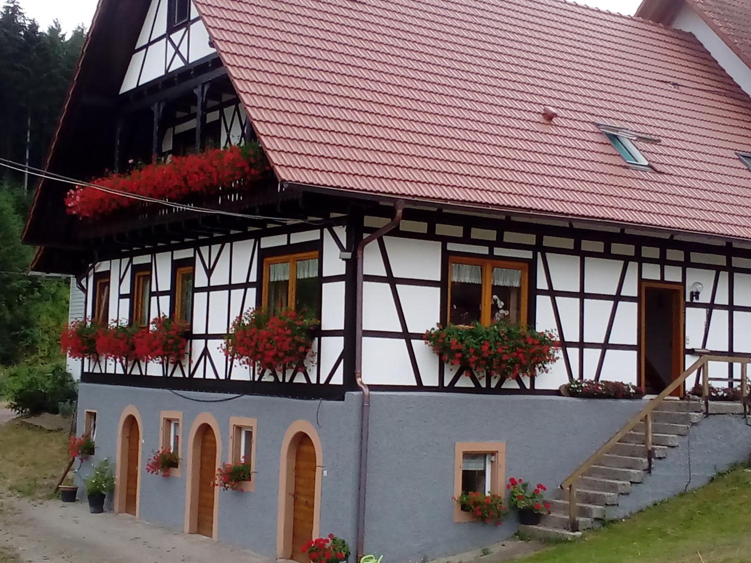 Steinhof