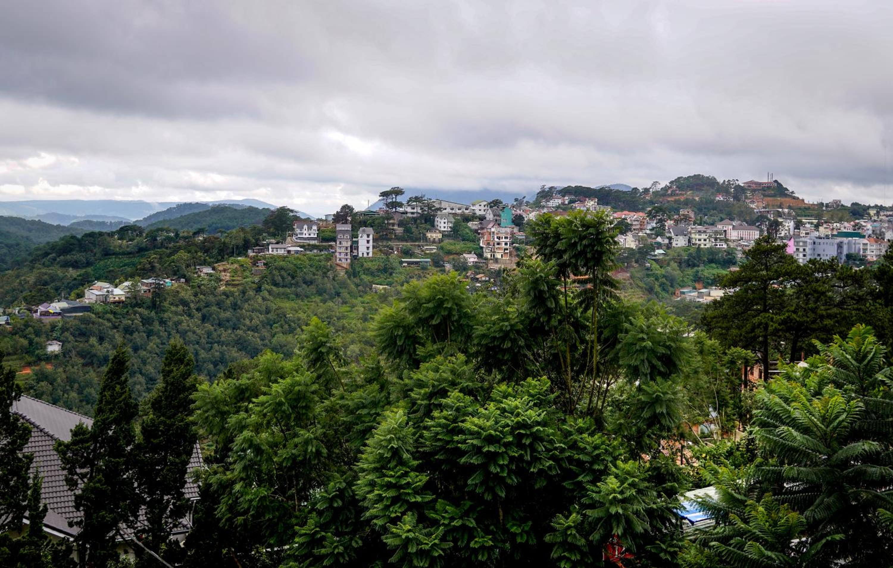 Tigon Dalat Hostel 47