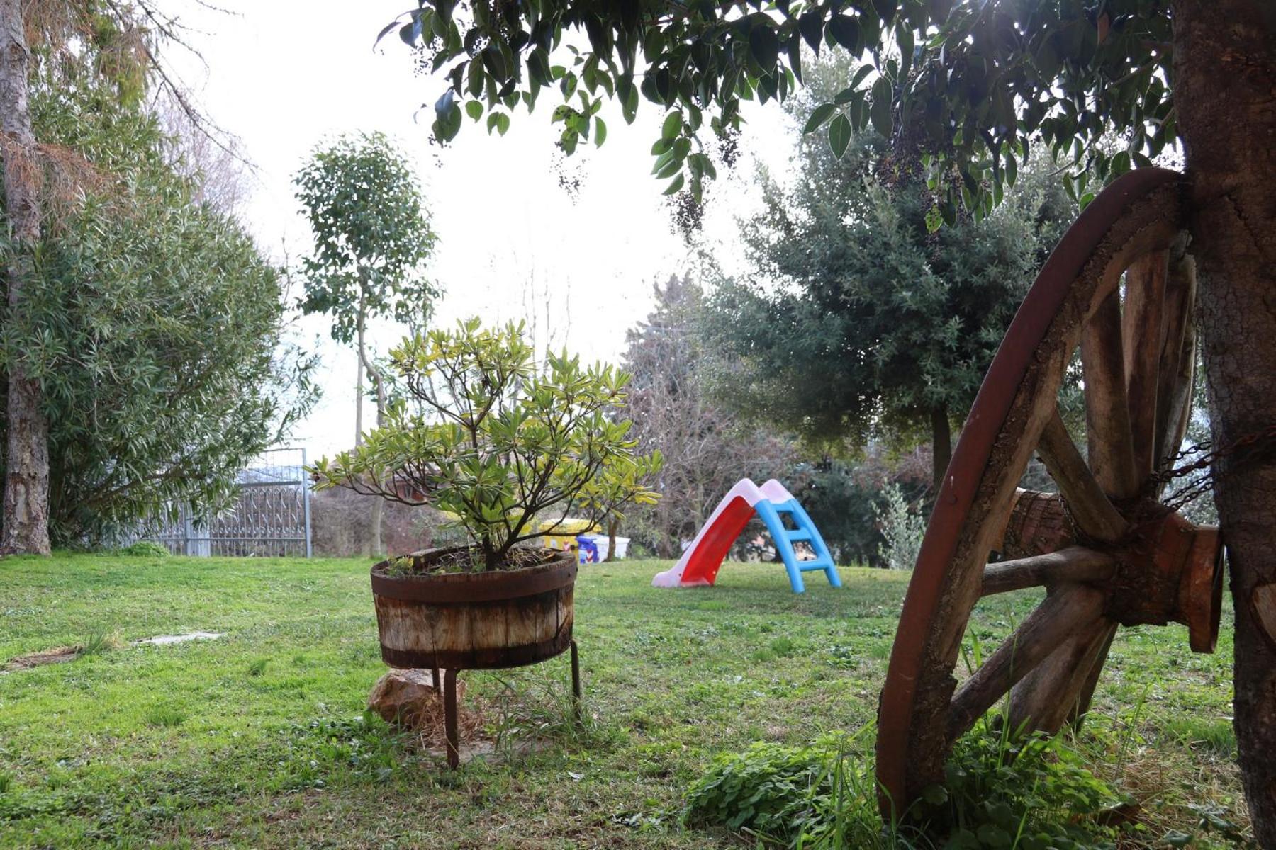 Photo 44