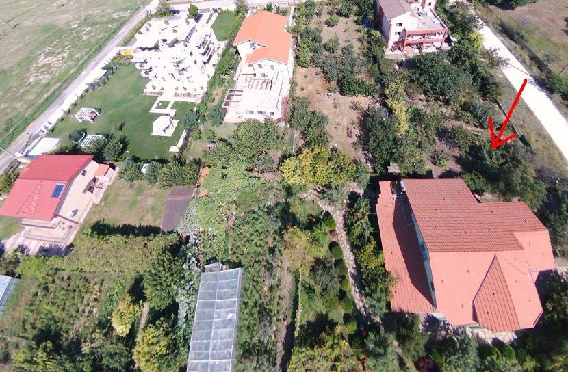 Dalina Mamaia Nord