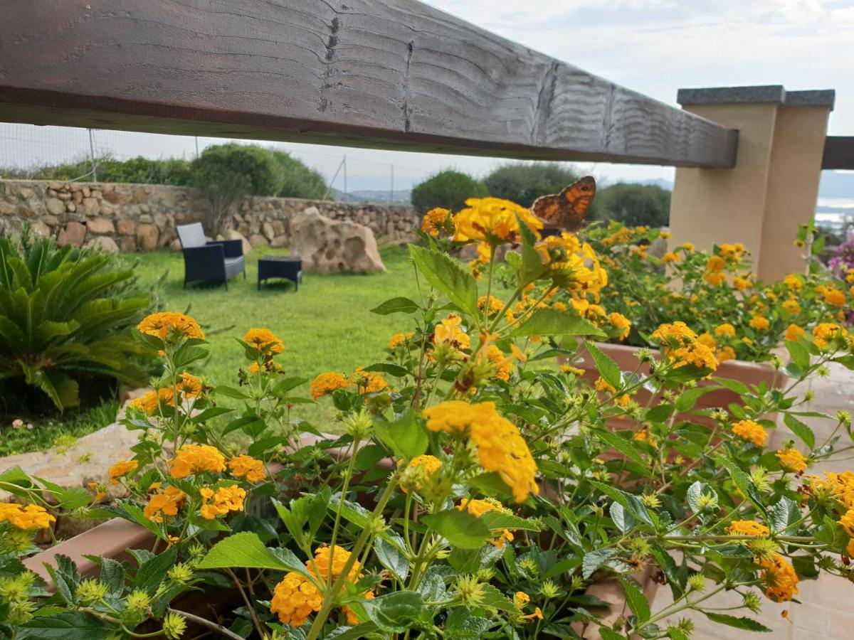 Villa Sprafundu - Property Image 39