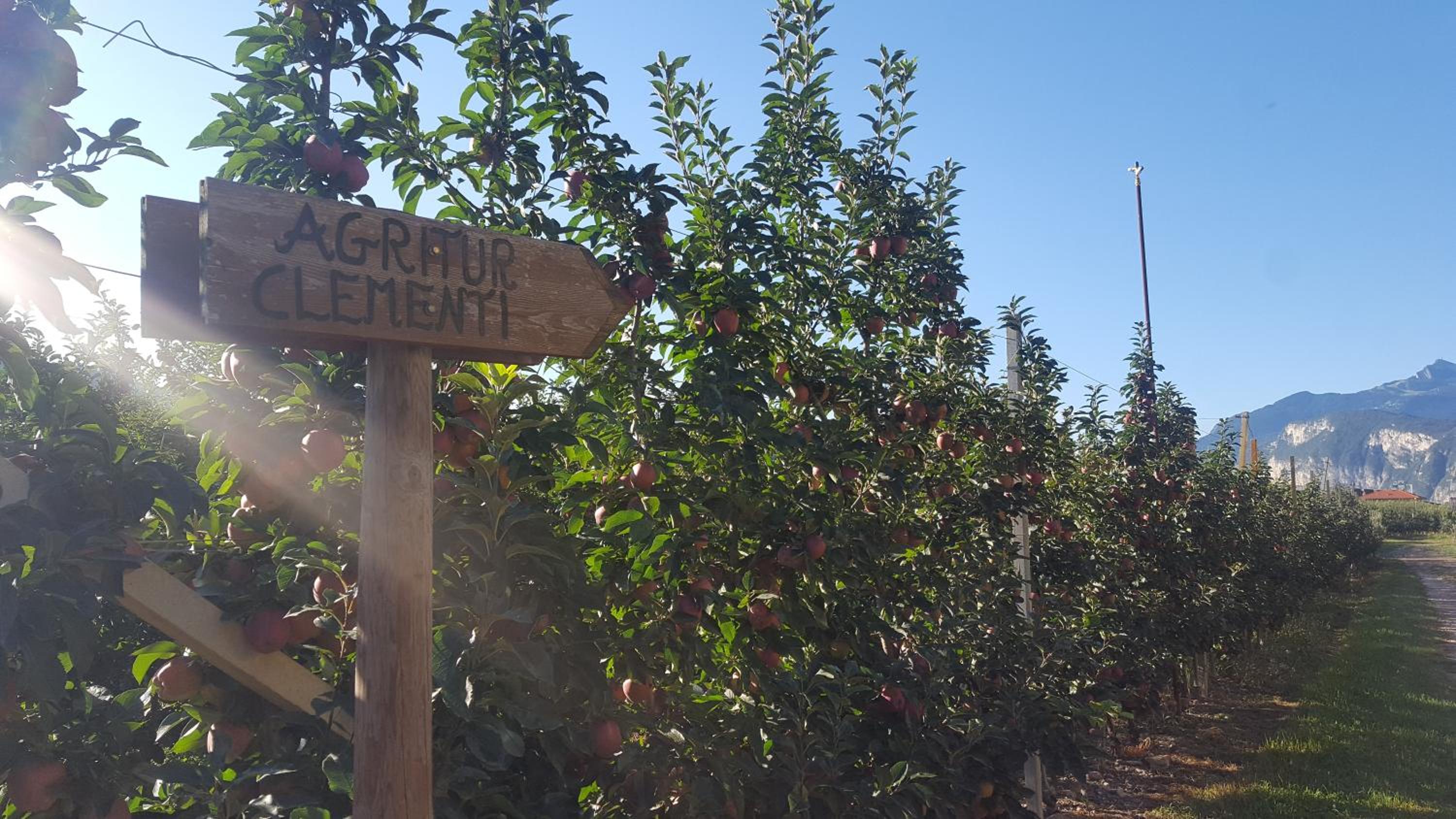 Agritur Clementi