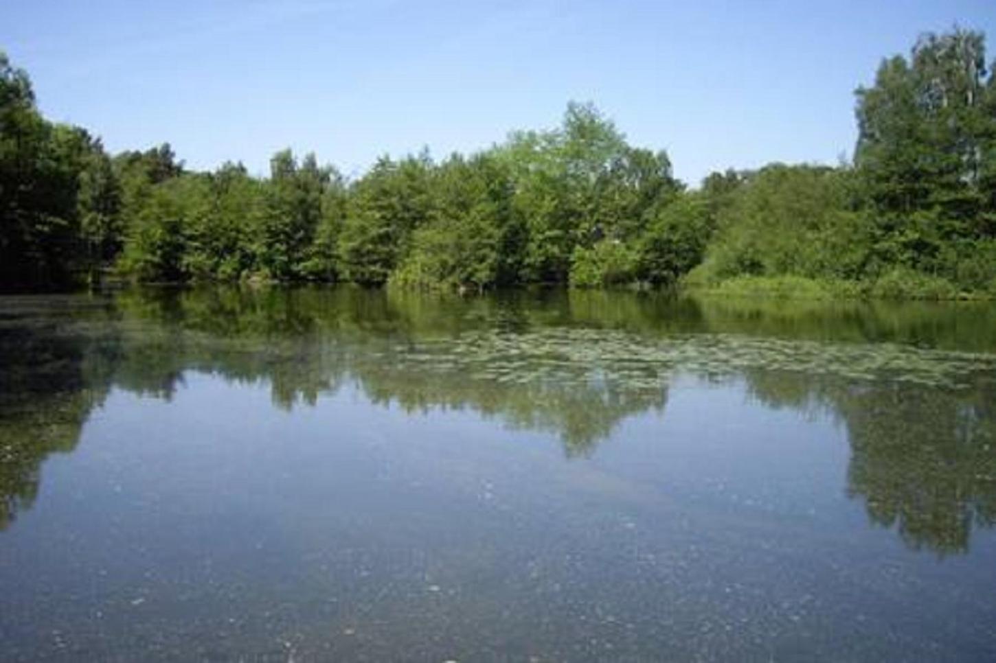 Photo 28