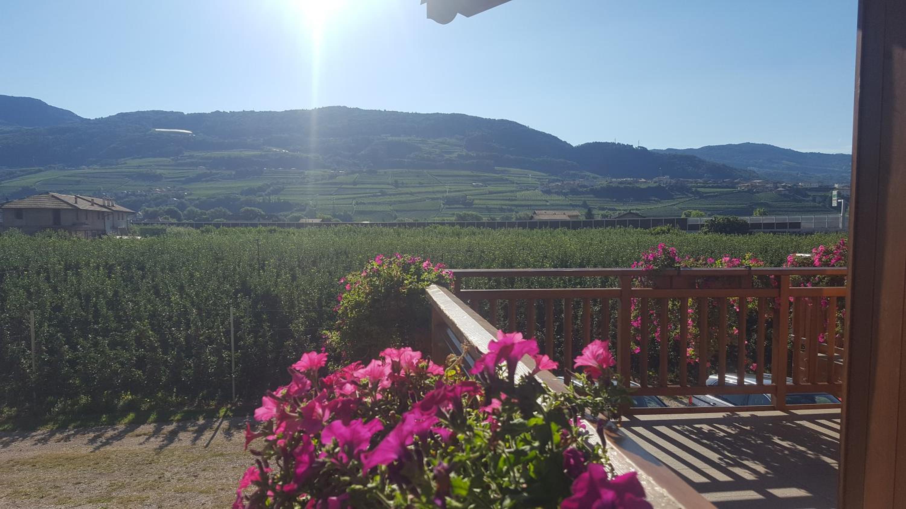 Agritur Clementi