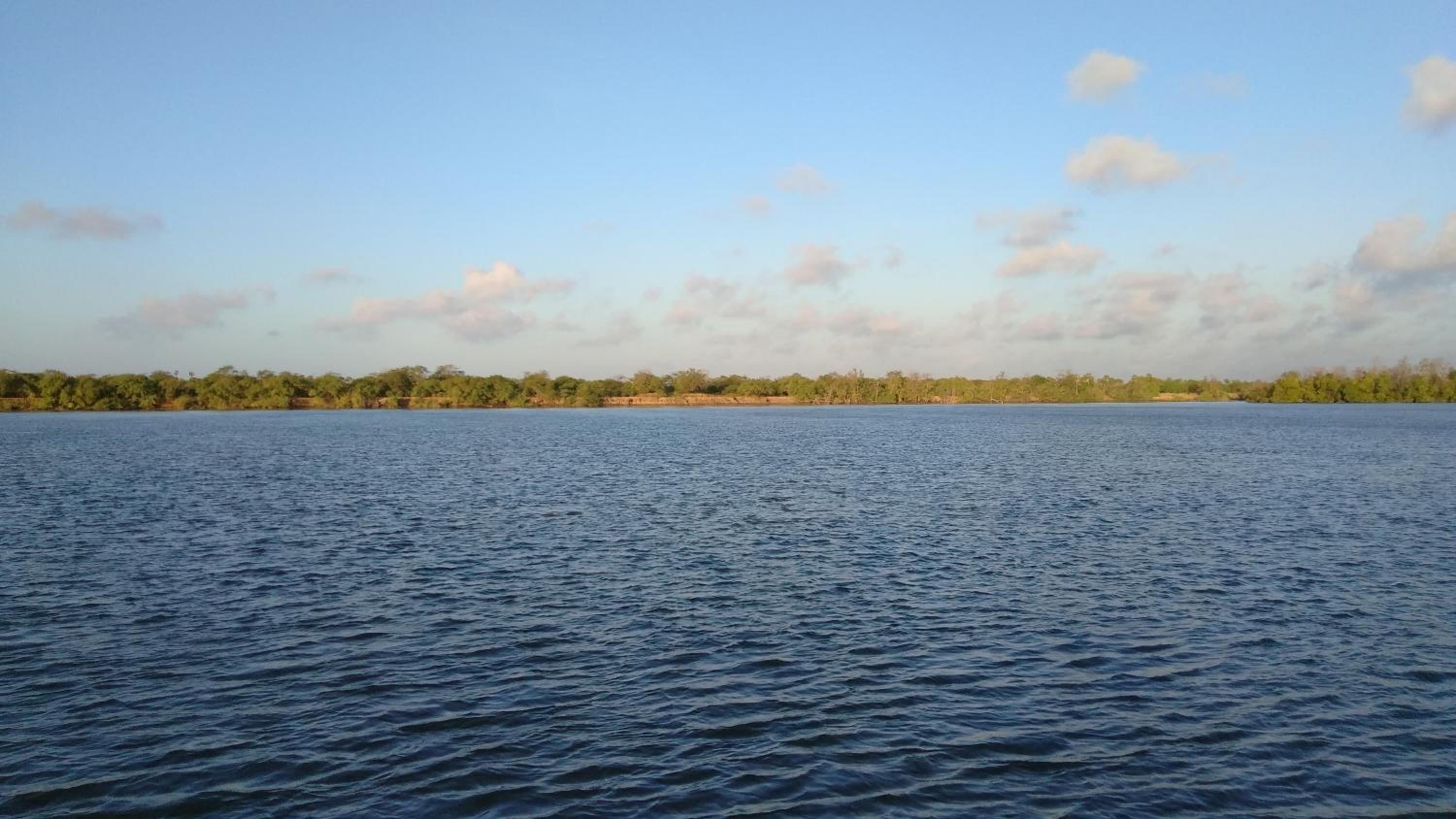 Photo 41