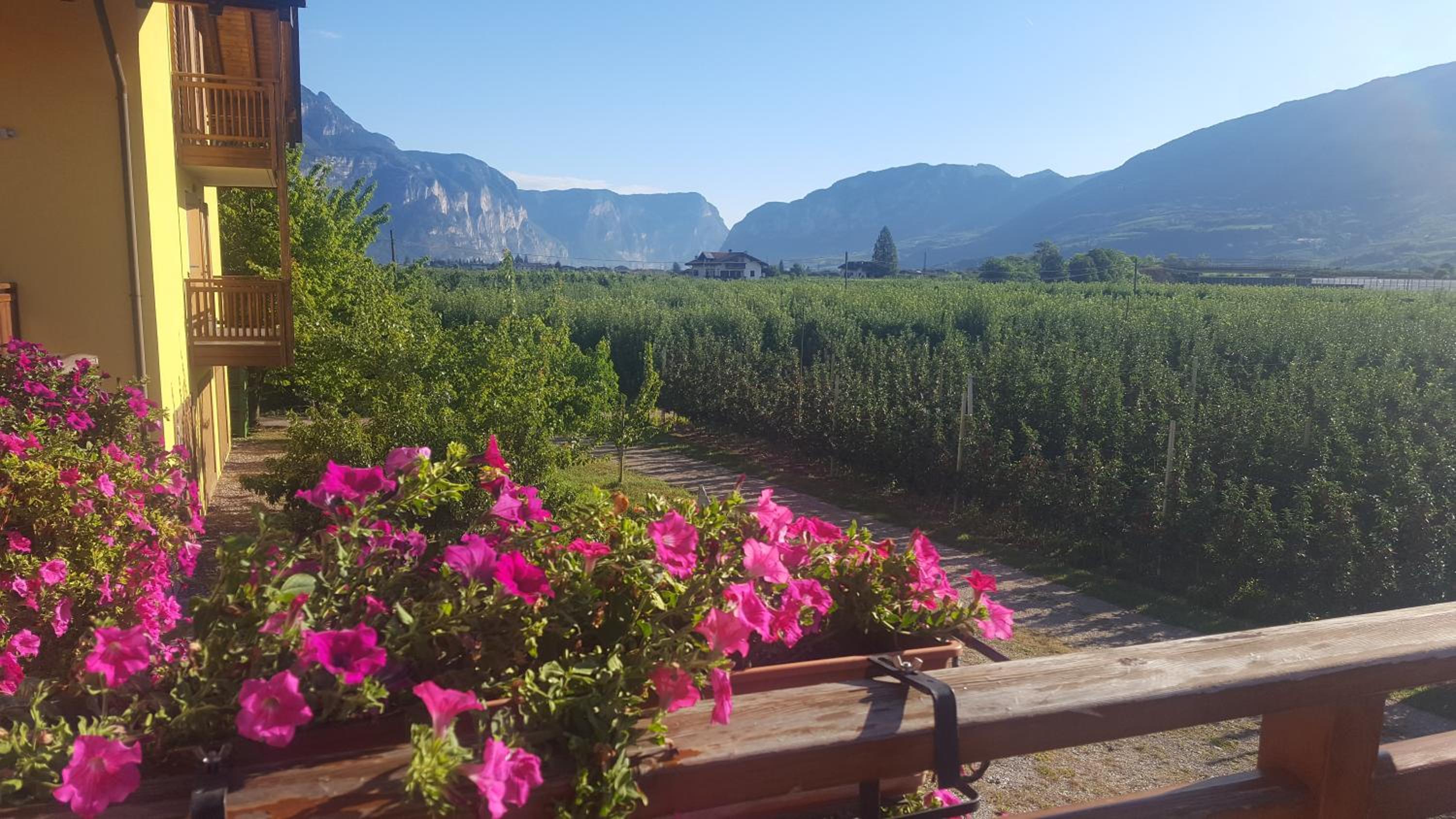Agritur Clementi