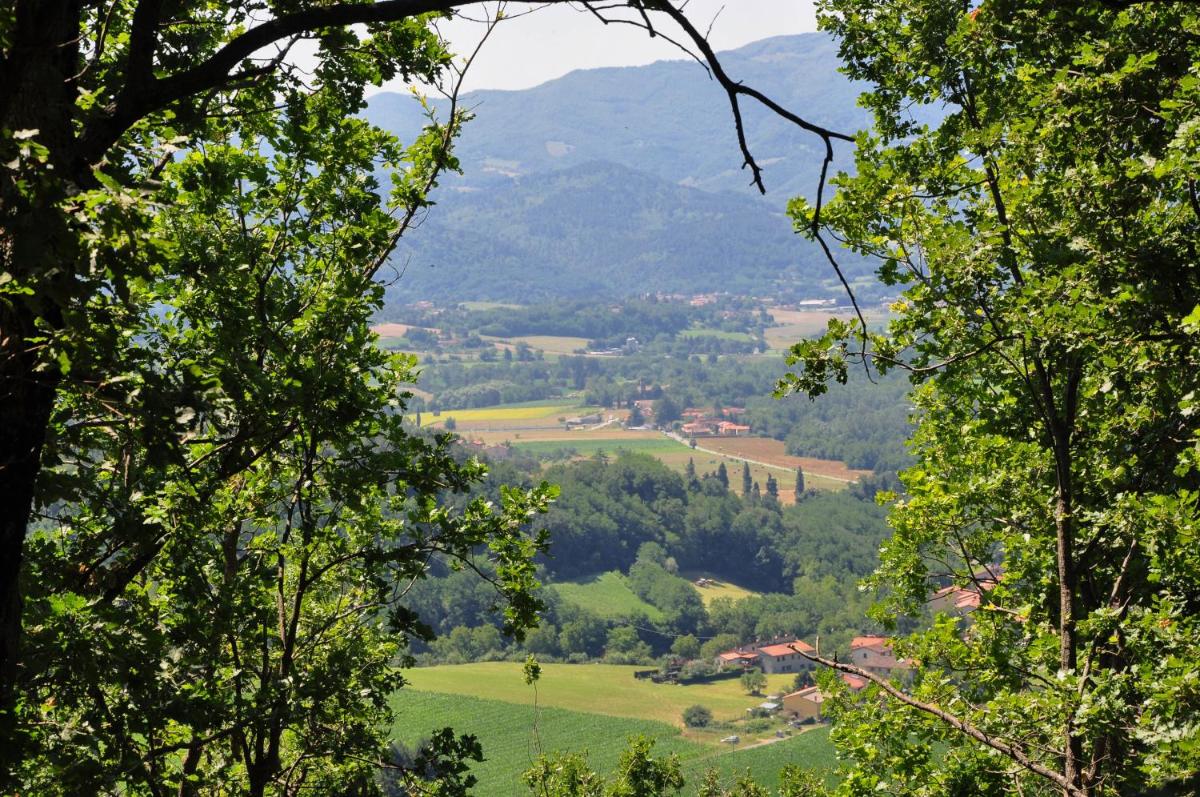 Bed and Breakfast Mugello photo 5