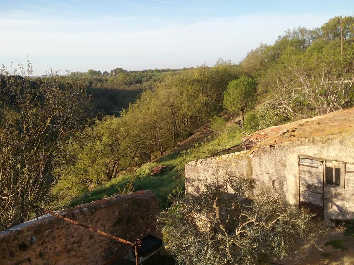 Le Petit Fabre
