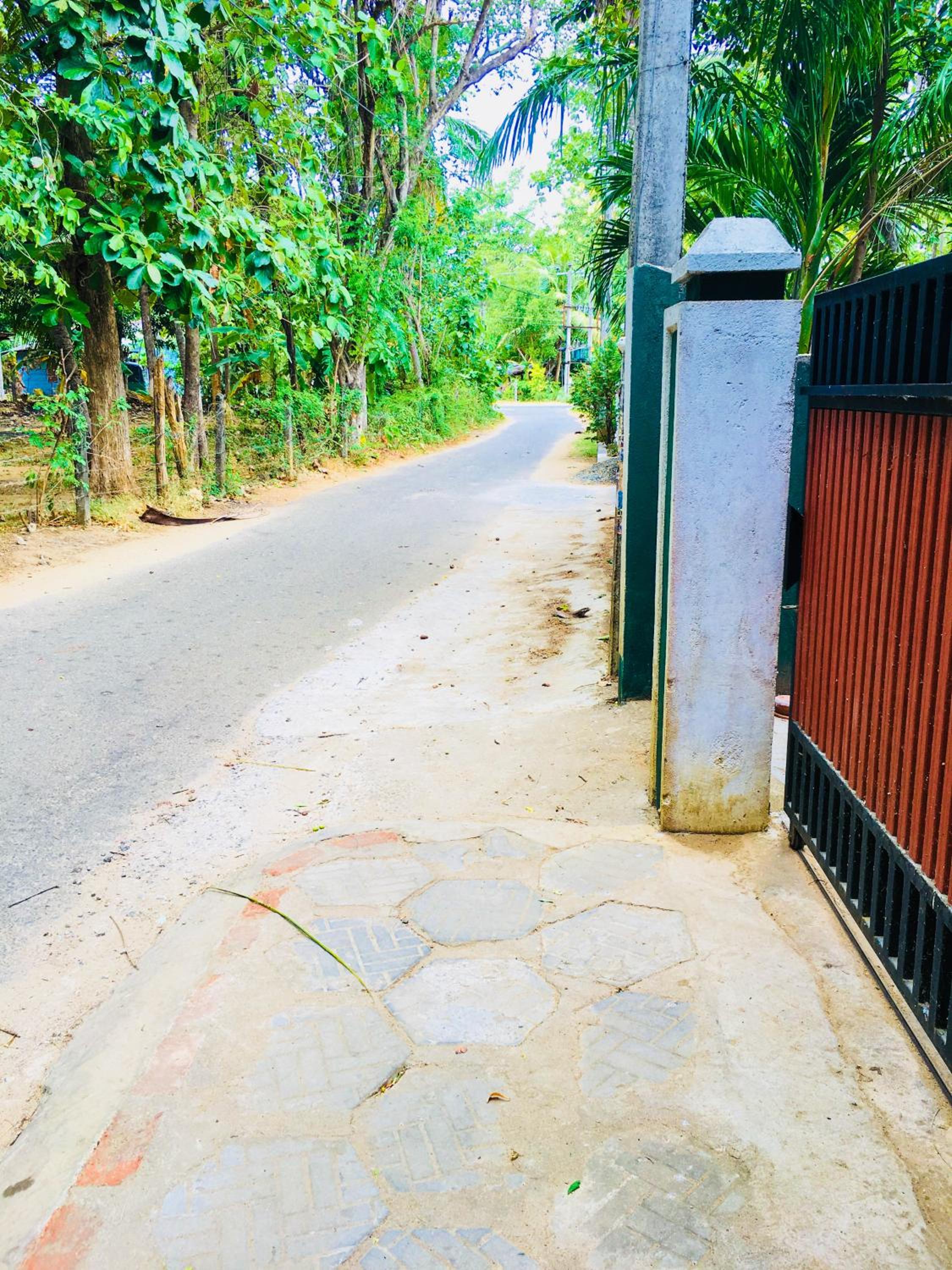 Sudu Neluma Home Stay