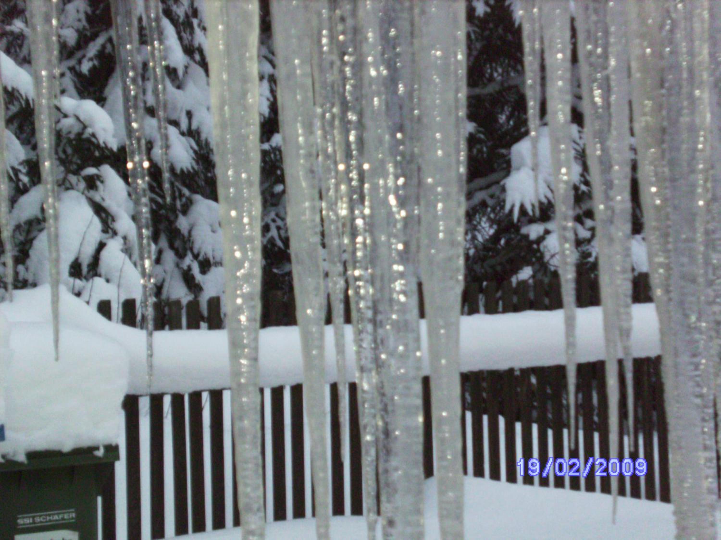Pension Berghof