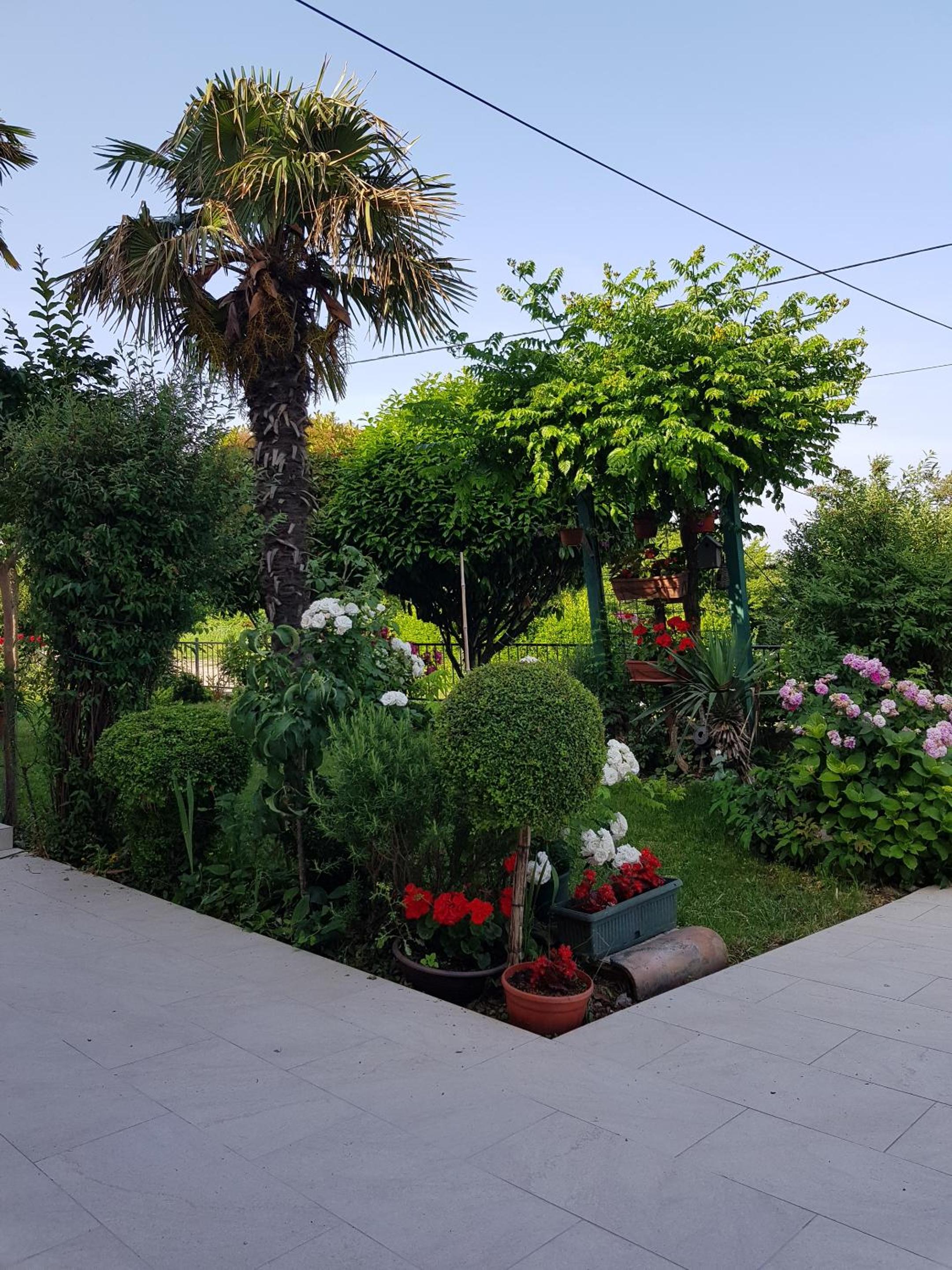 Photo 44