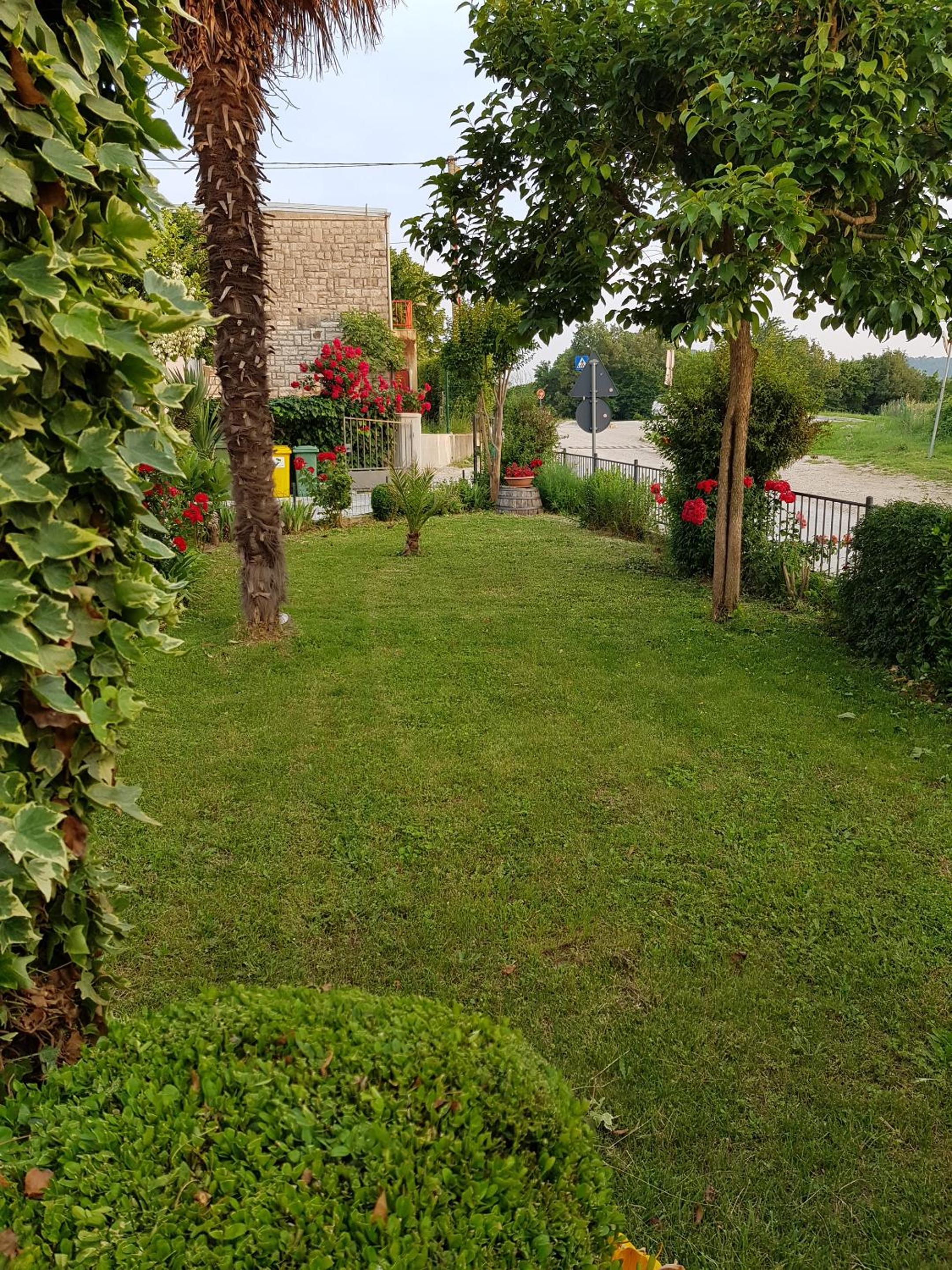 Photo 43