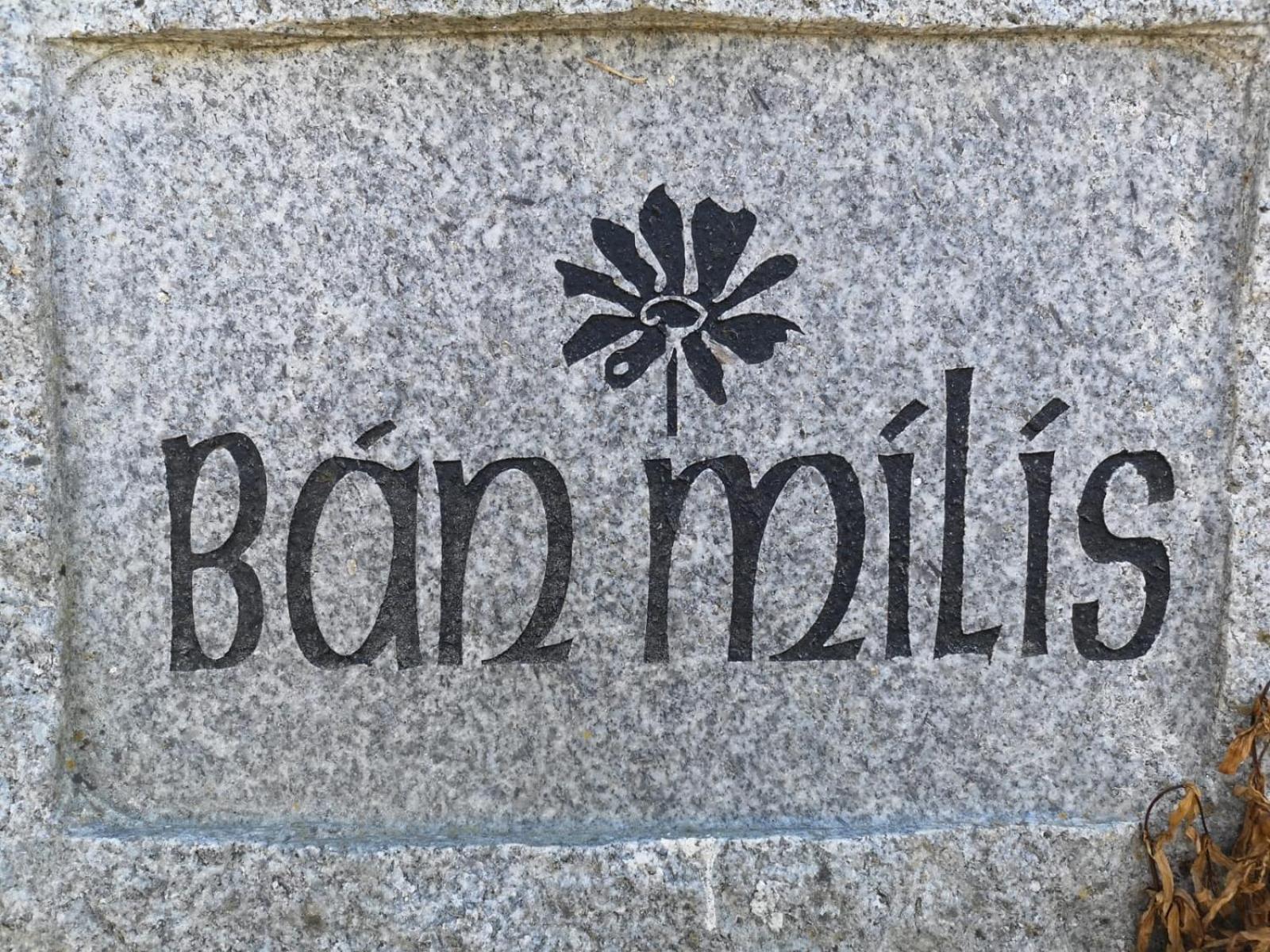 Ban Milis 1 view 5