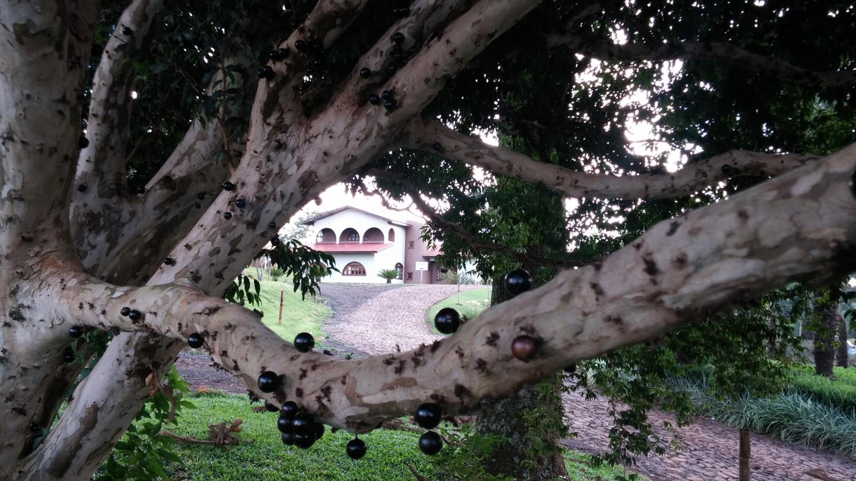 Hotel e Camping Espaço Verde Pousada