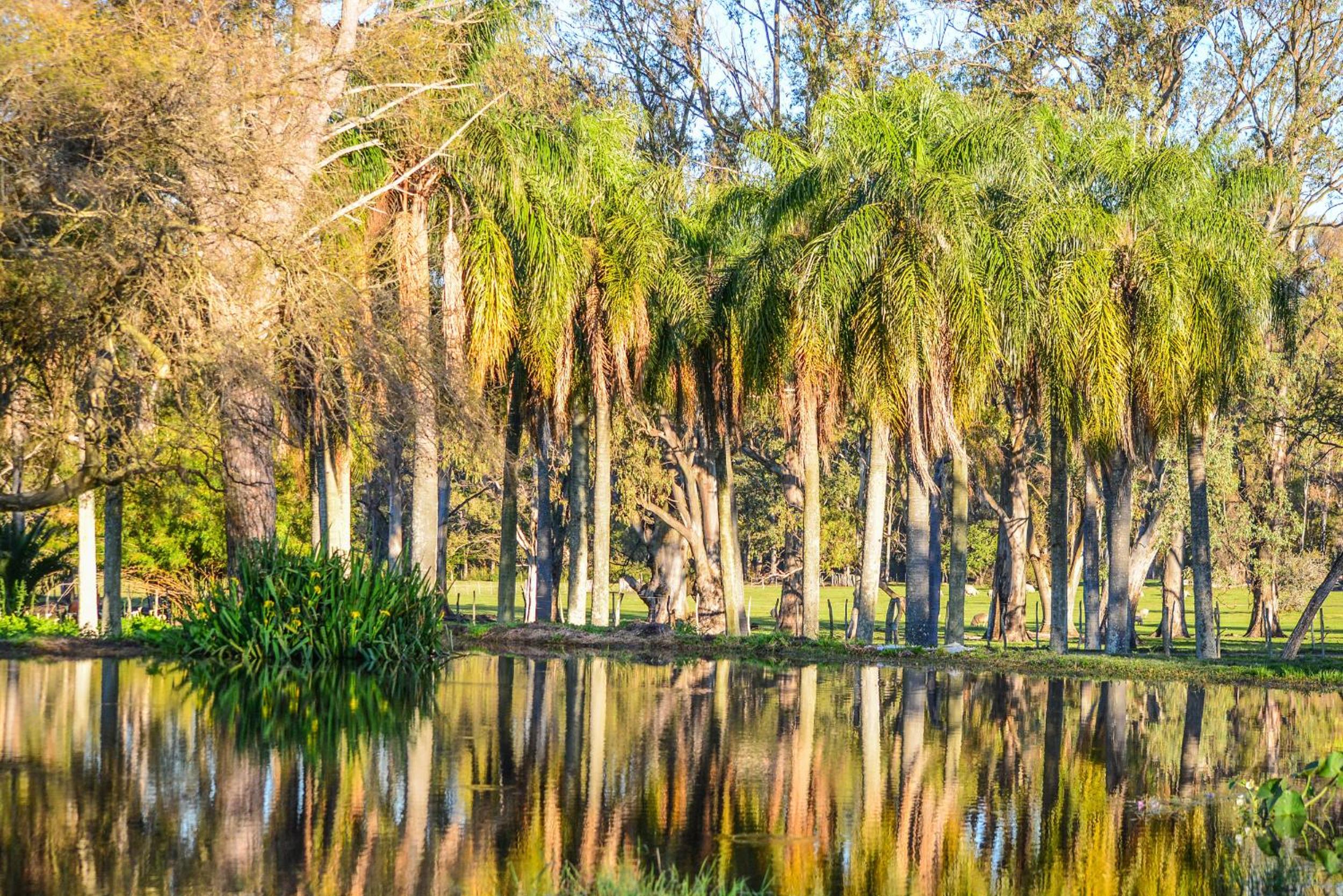 Estancia La violeta