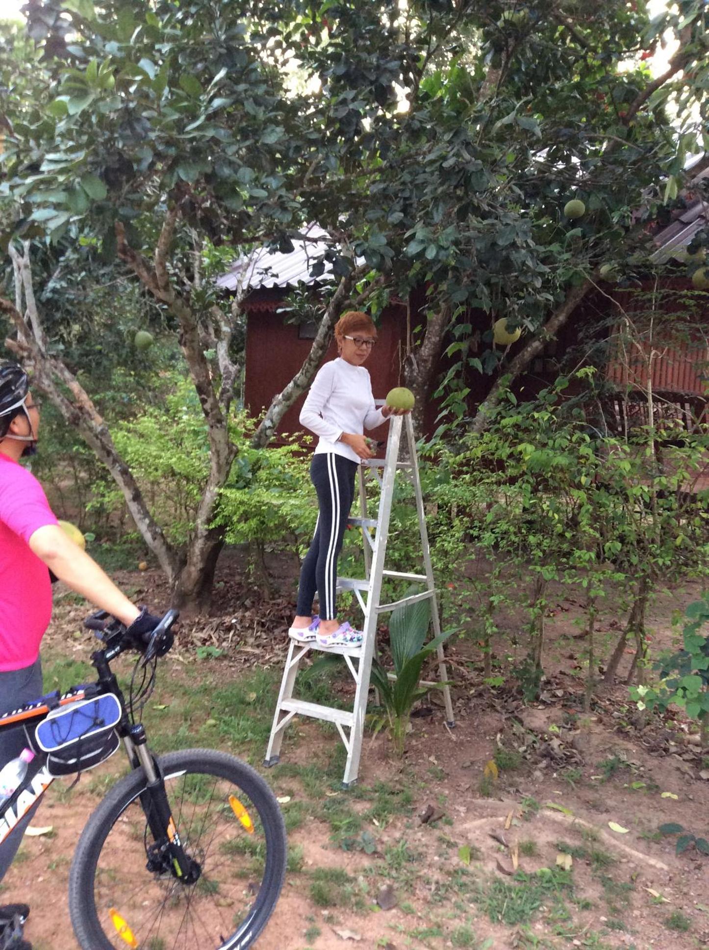 Pruksa Resort Prachin Buri