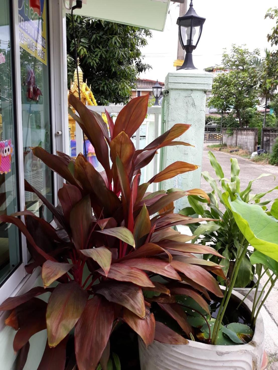 D Heart Homestay