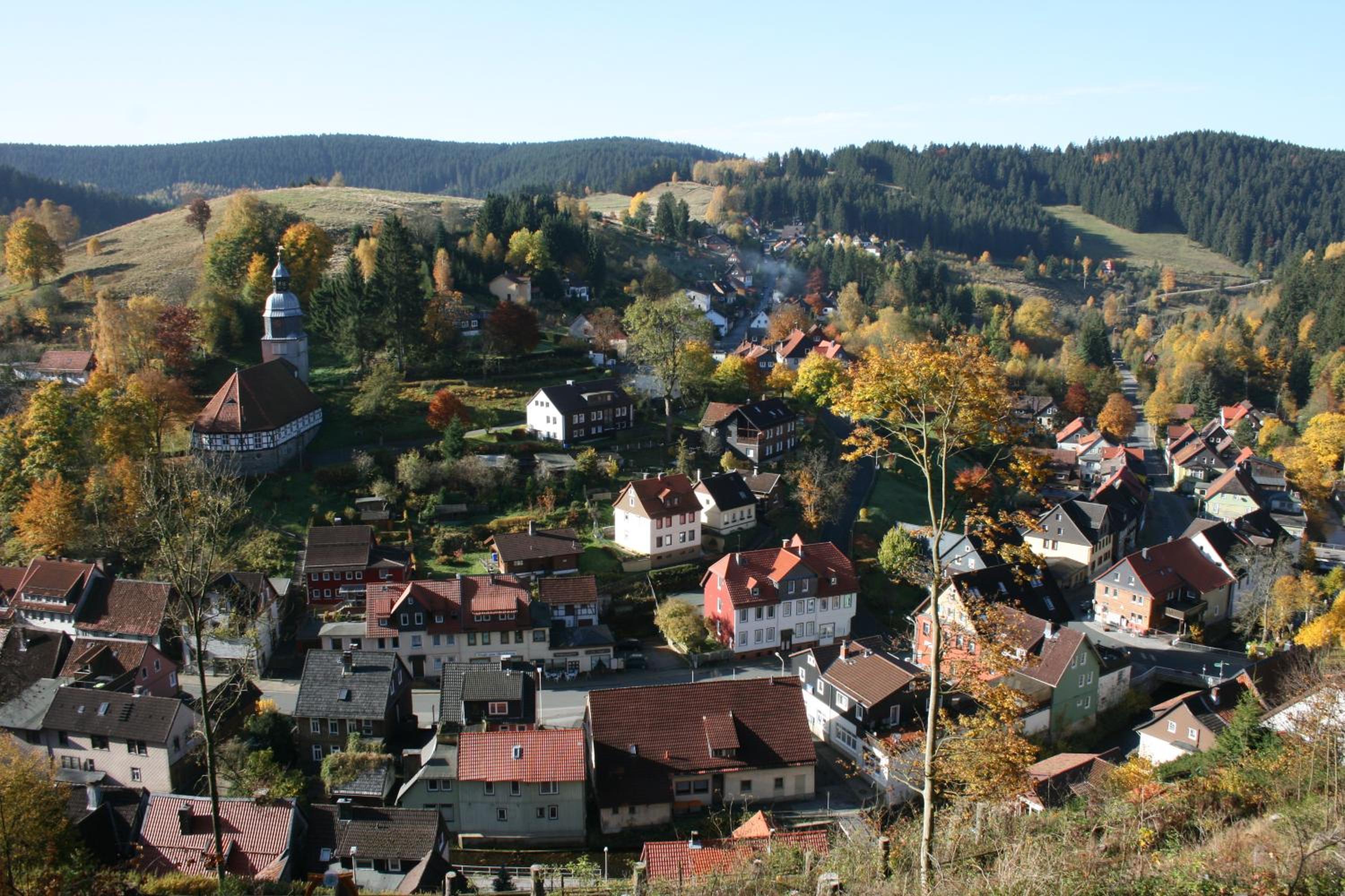 Photo 41