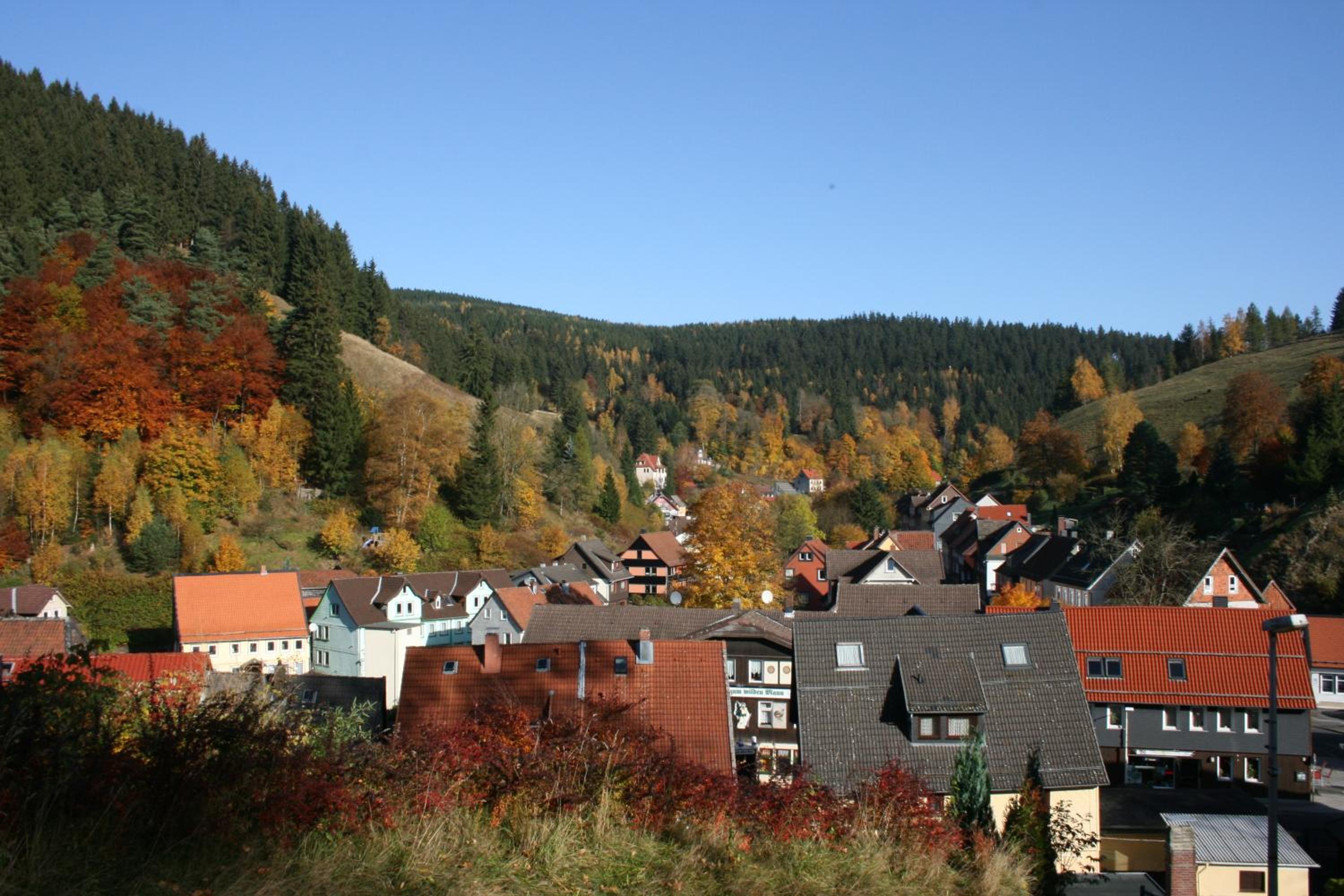 Photo 10