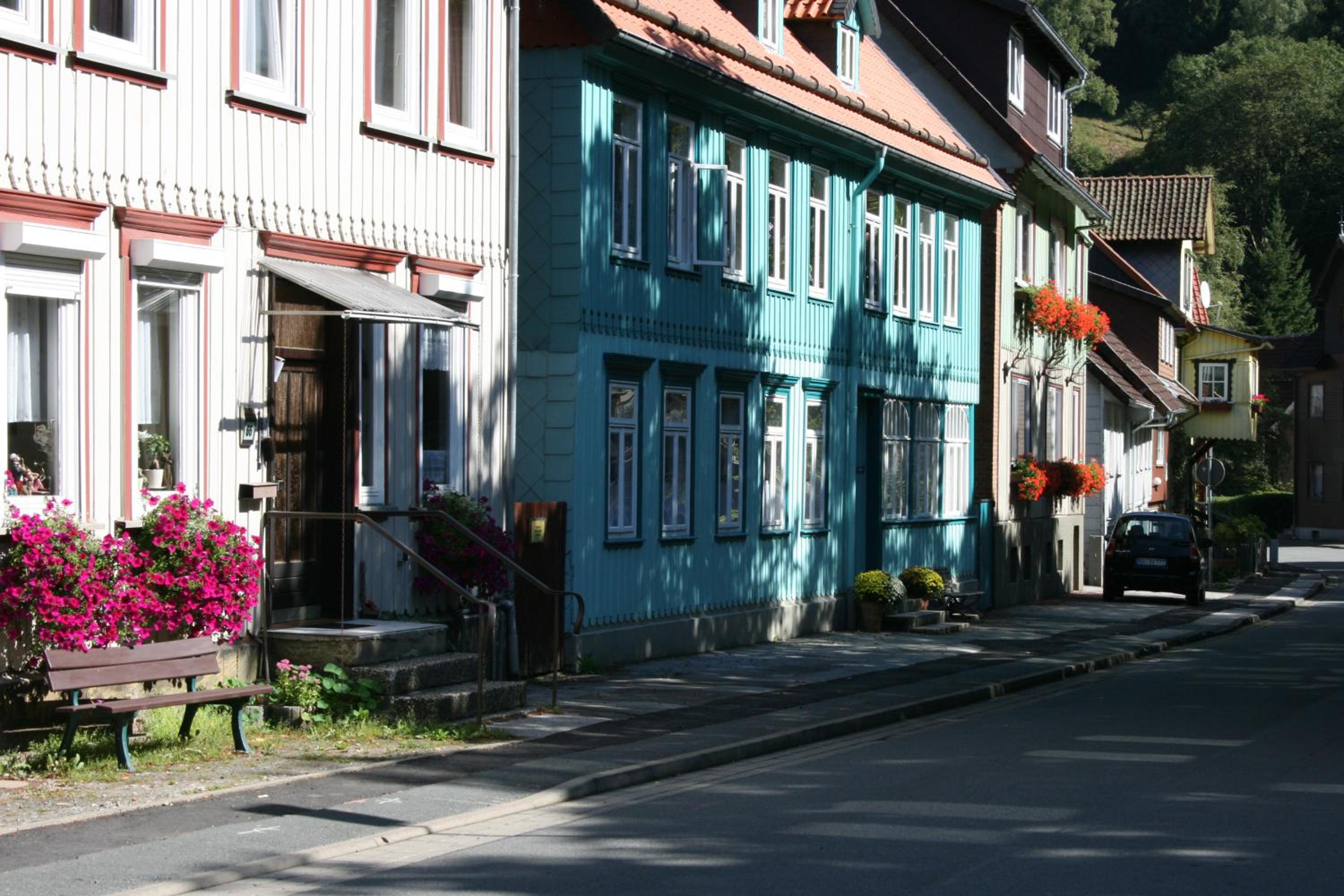 Photo 42