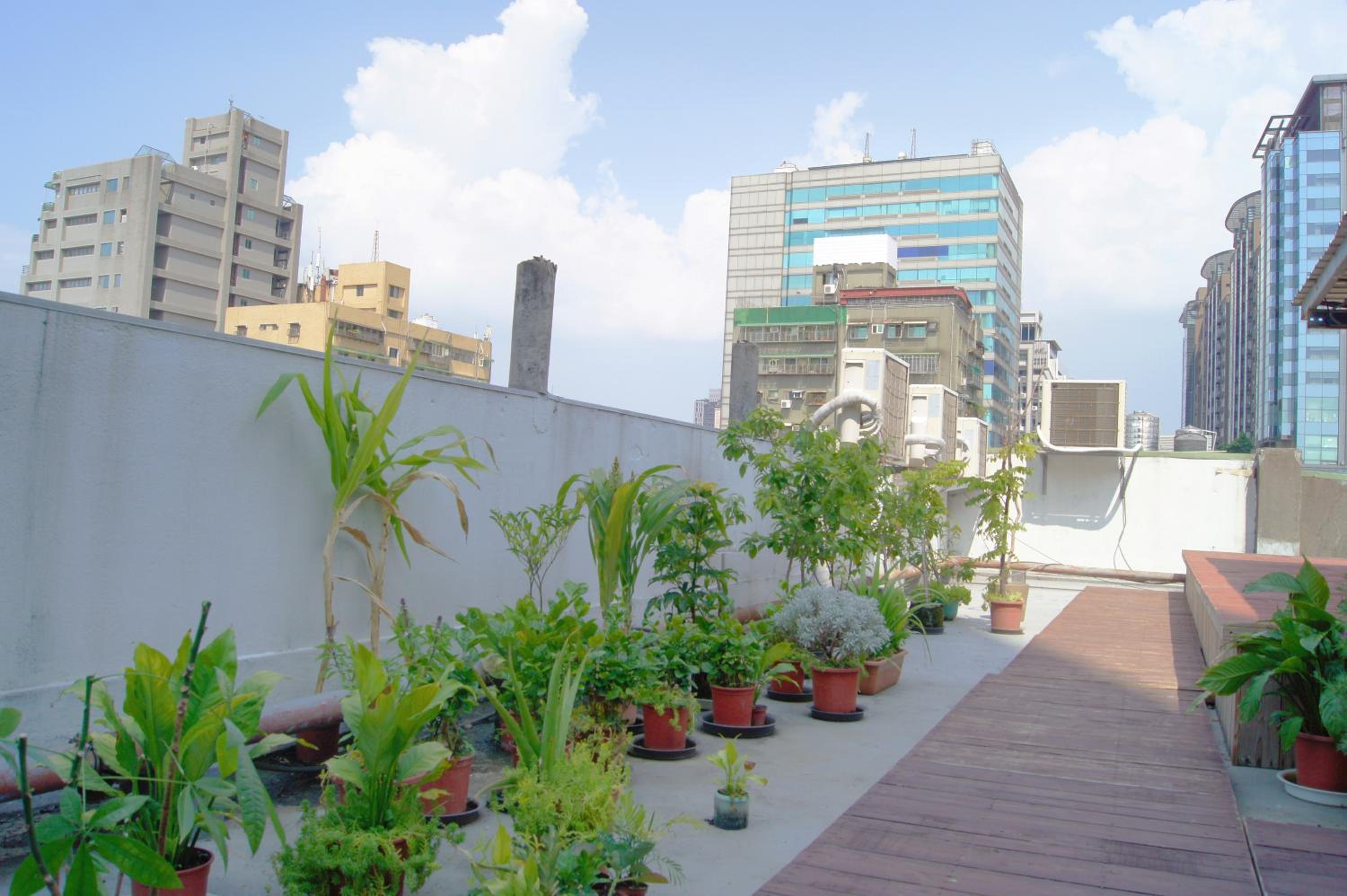 roof