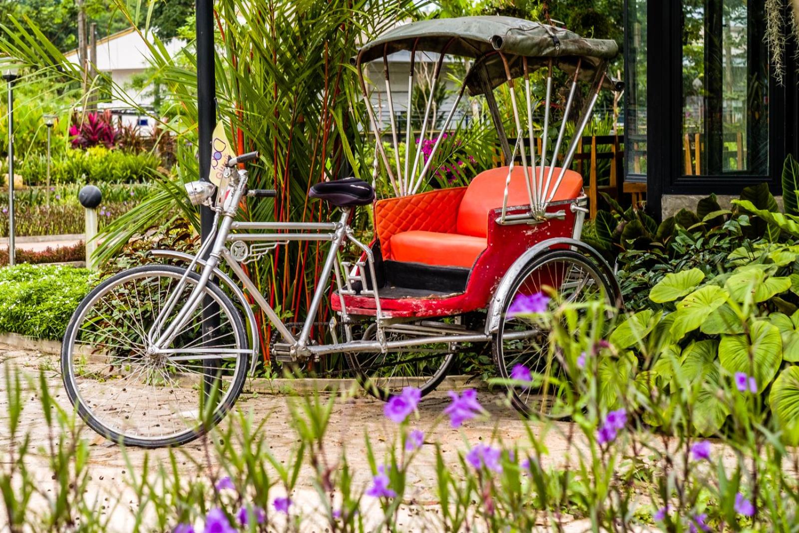 DD Garden Home