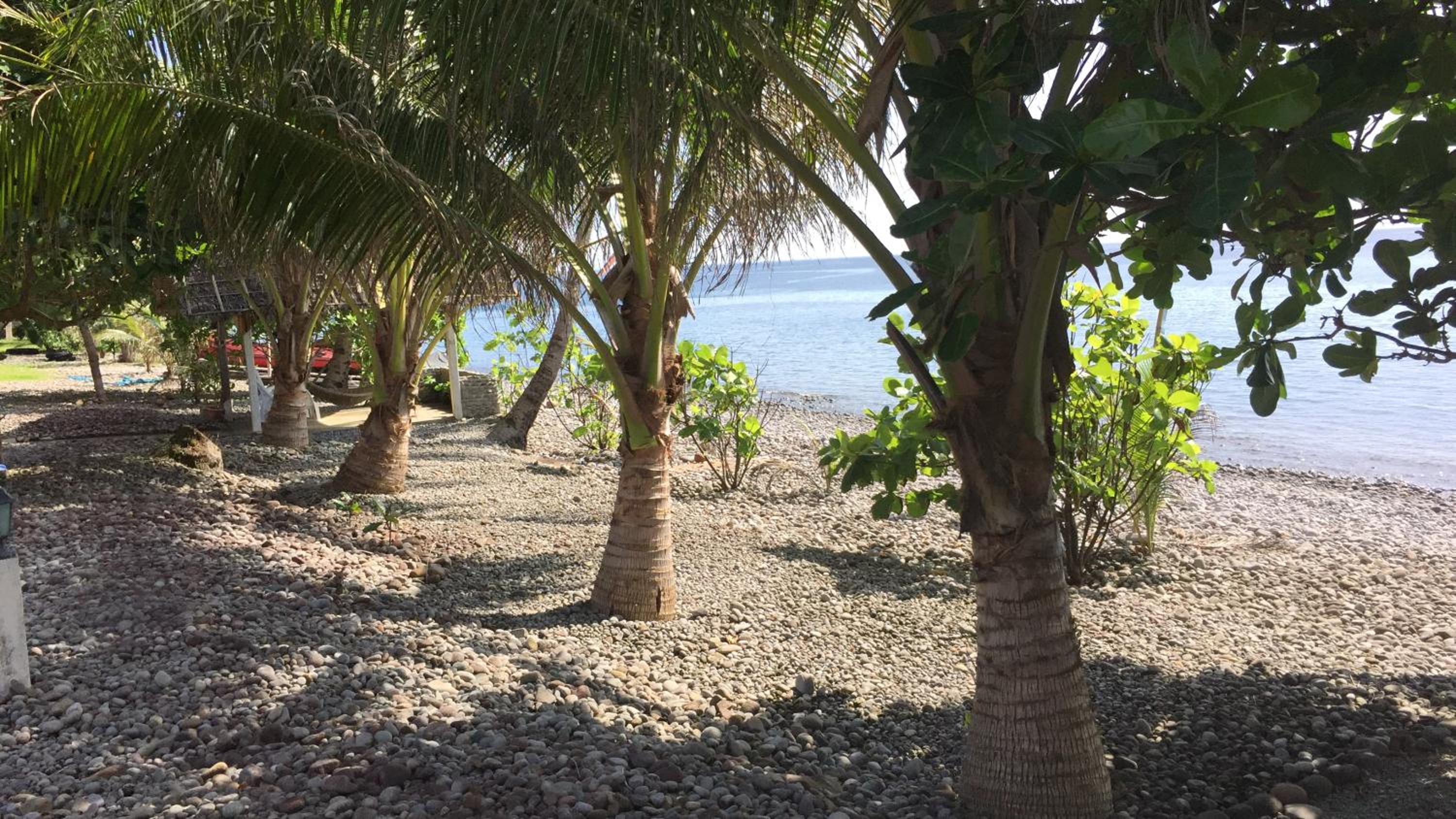 Pintuyan Dive Resort