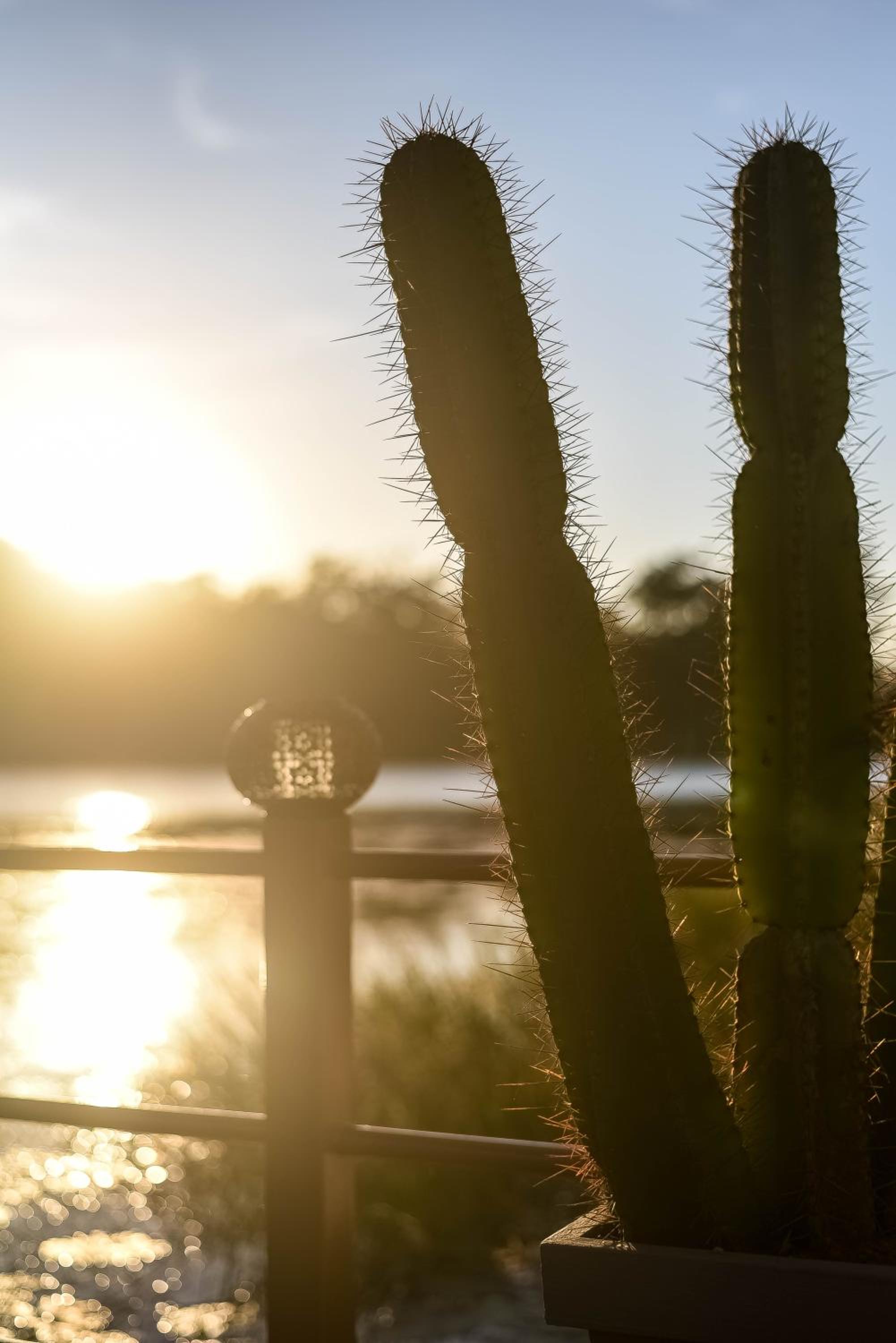 Bambuu Lakeside Lodge