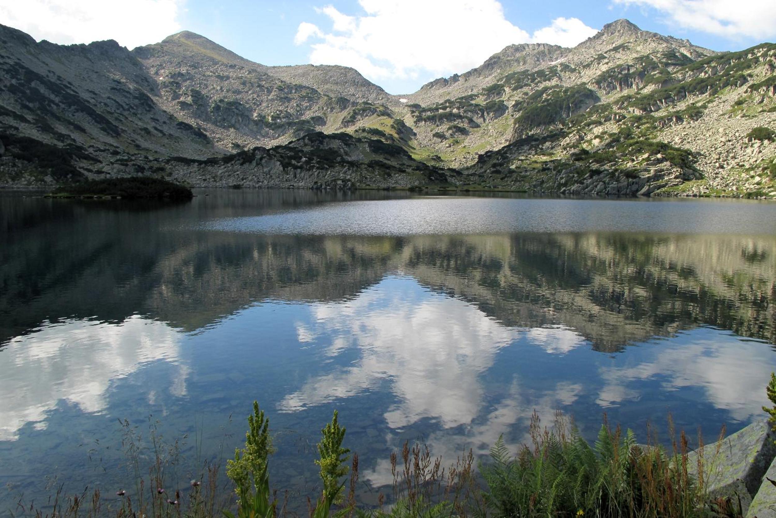 Photo 11