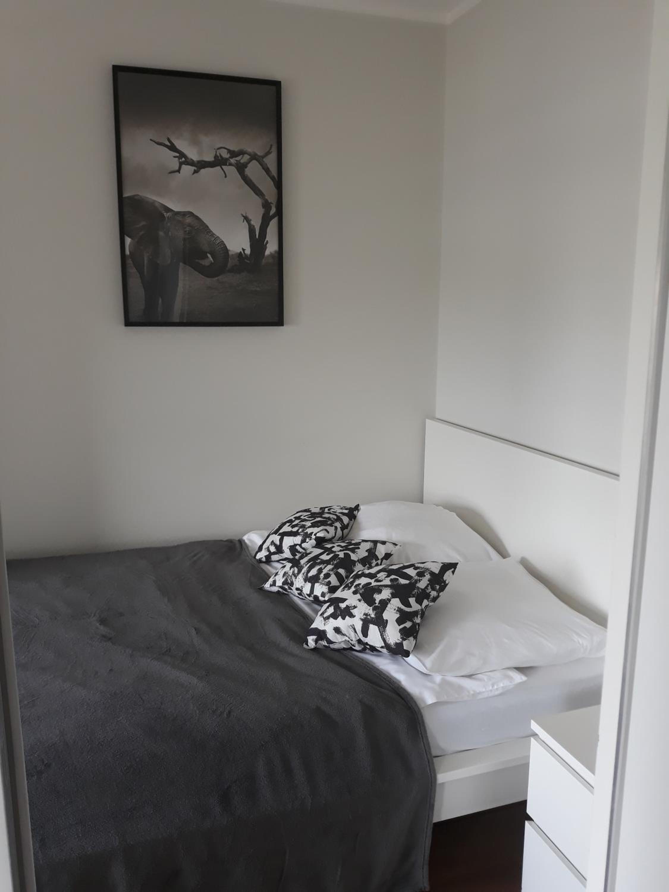 MG Apartments Siedmiogrodzka