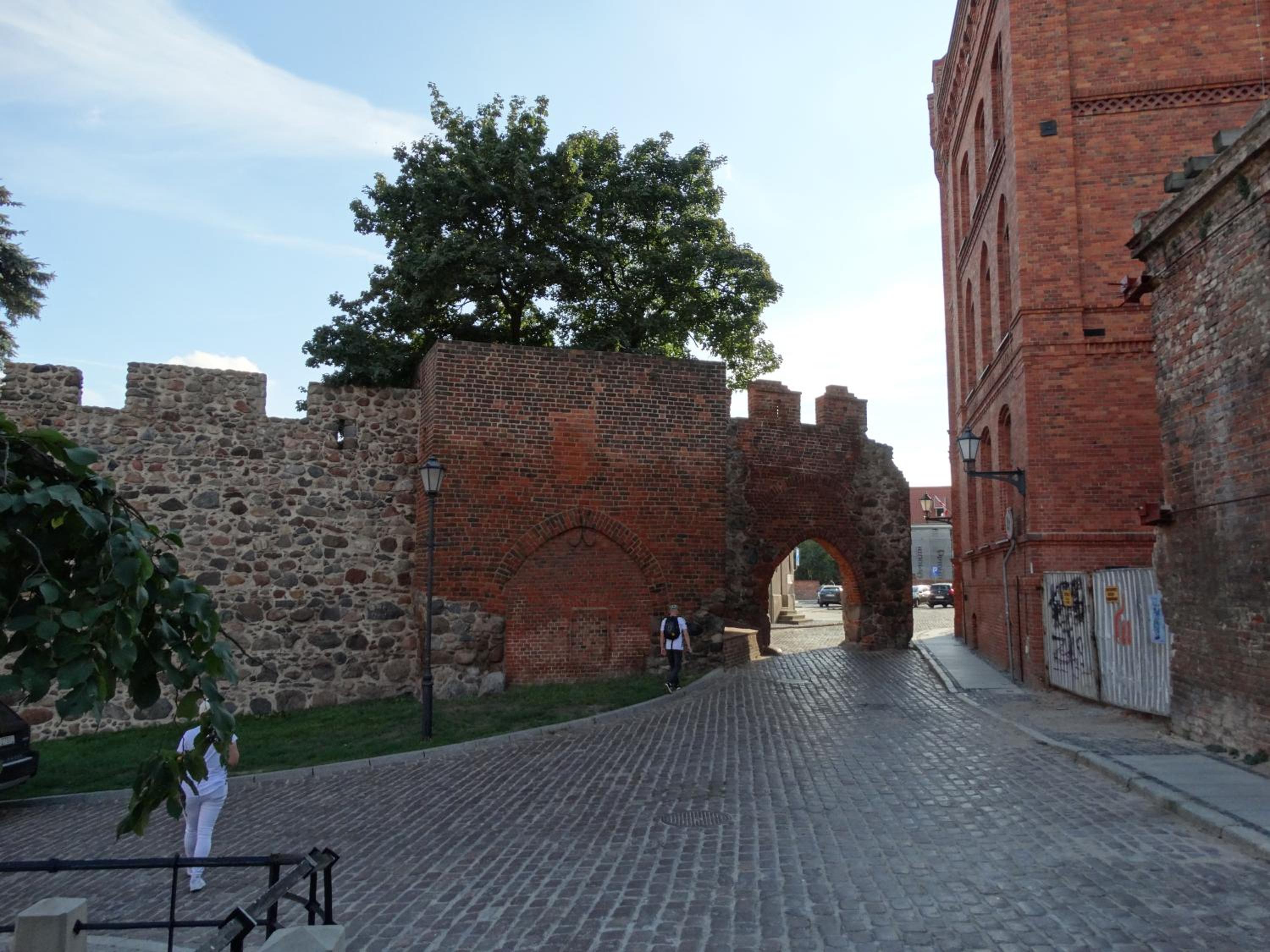 Photo 47