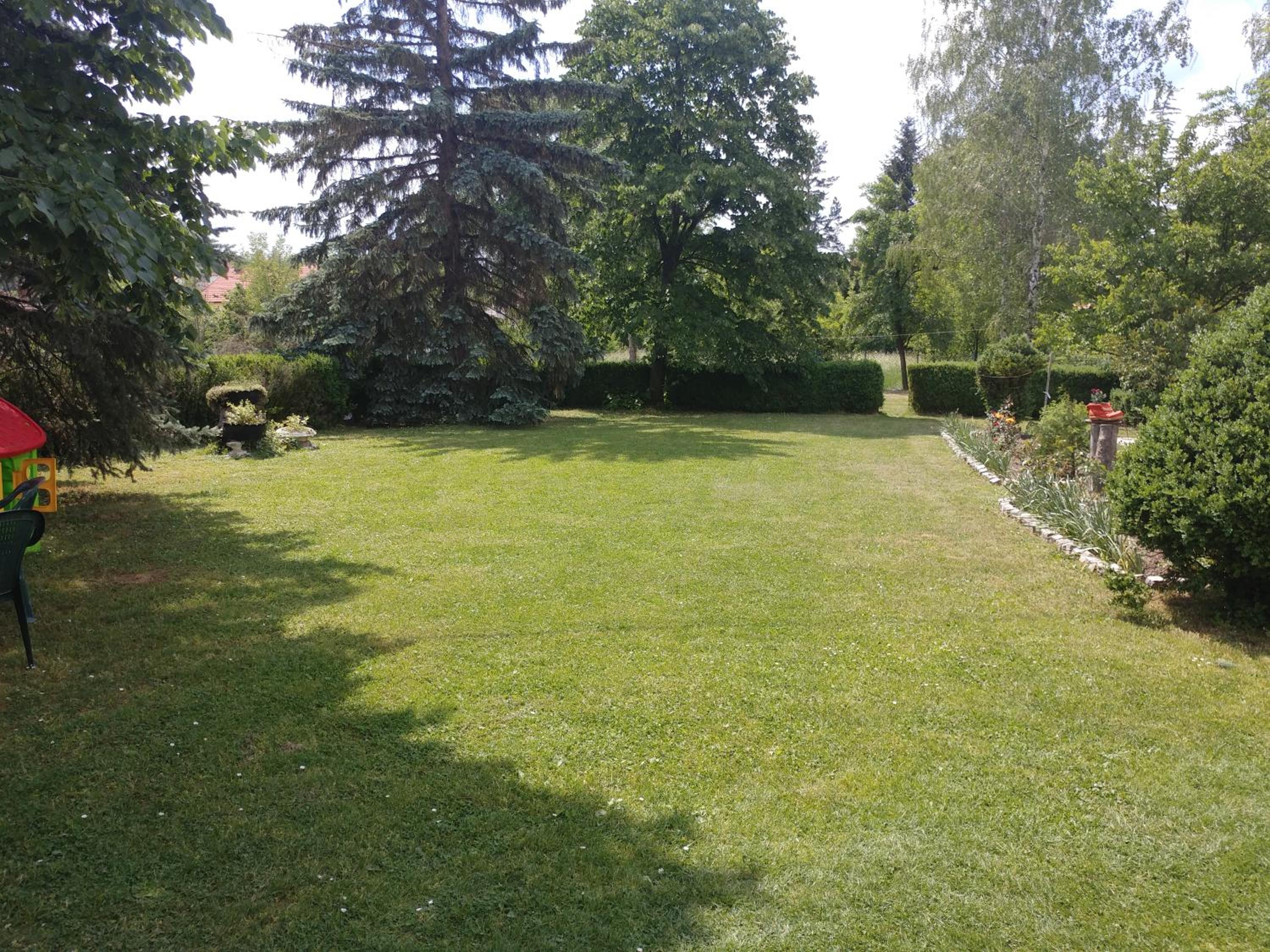 Photo 31