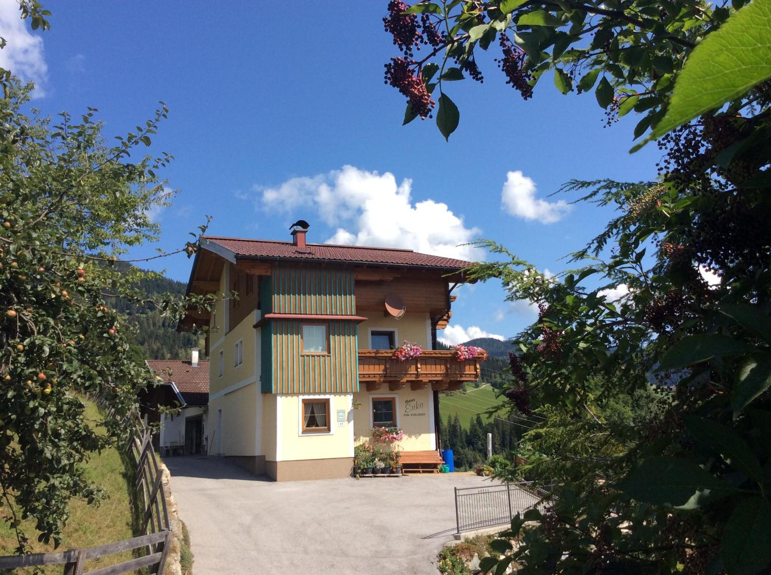 Haus Erika view 5