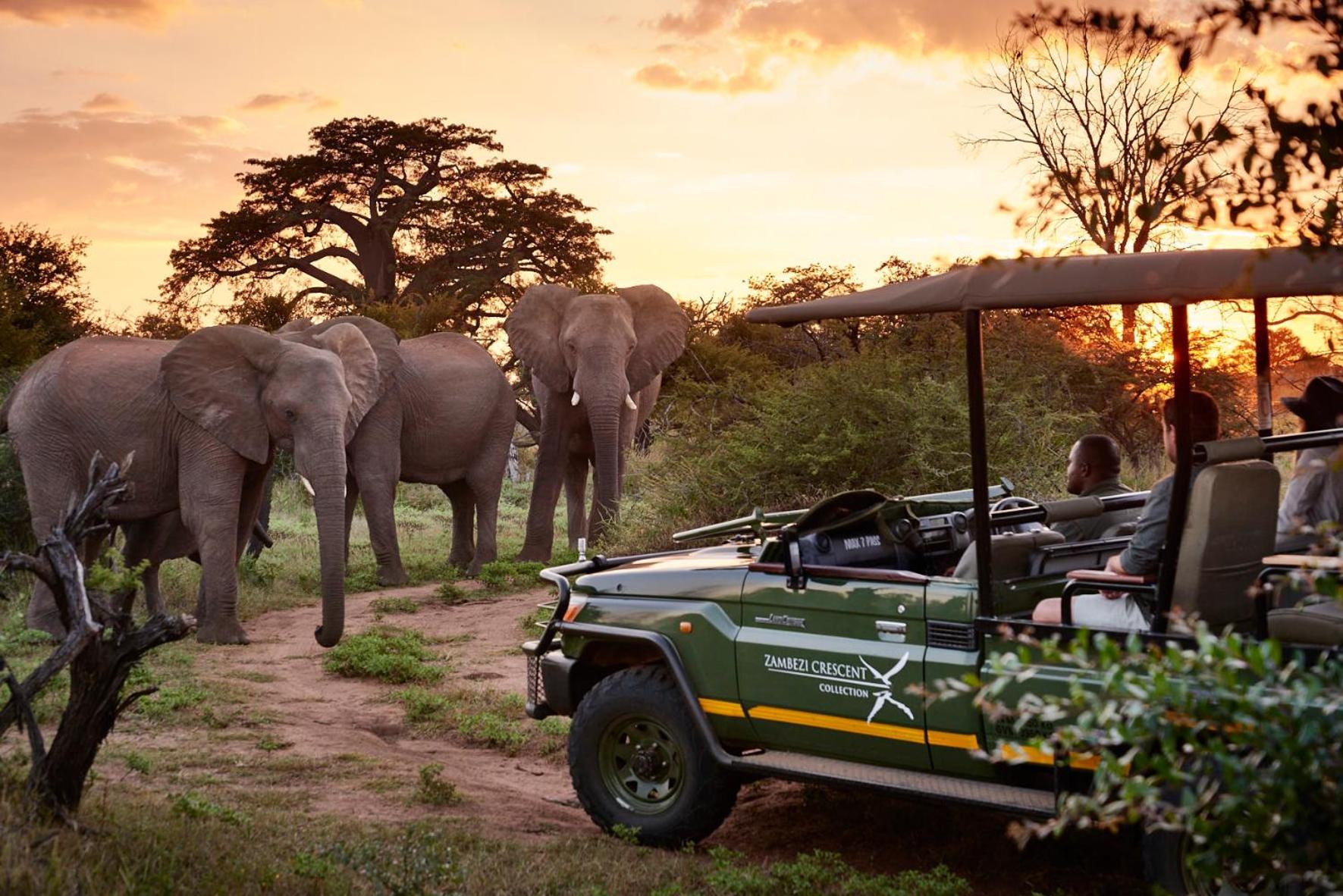Victoria Falls River Lodge