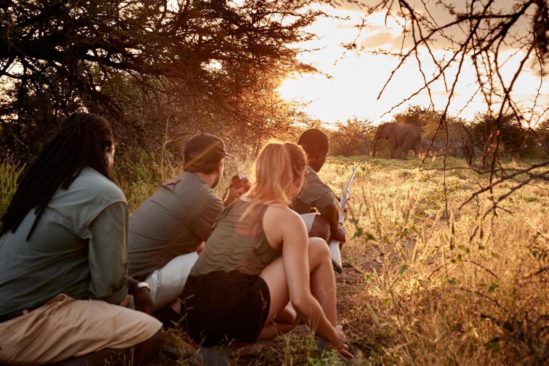 Victoria Falls River Lodge