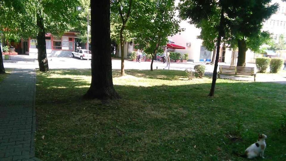 Photo 7