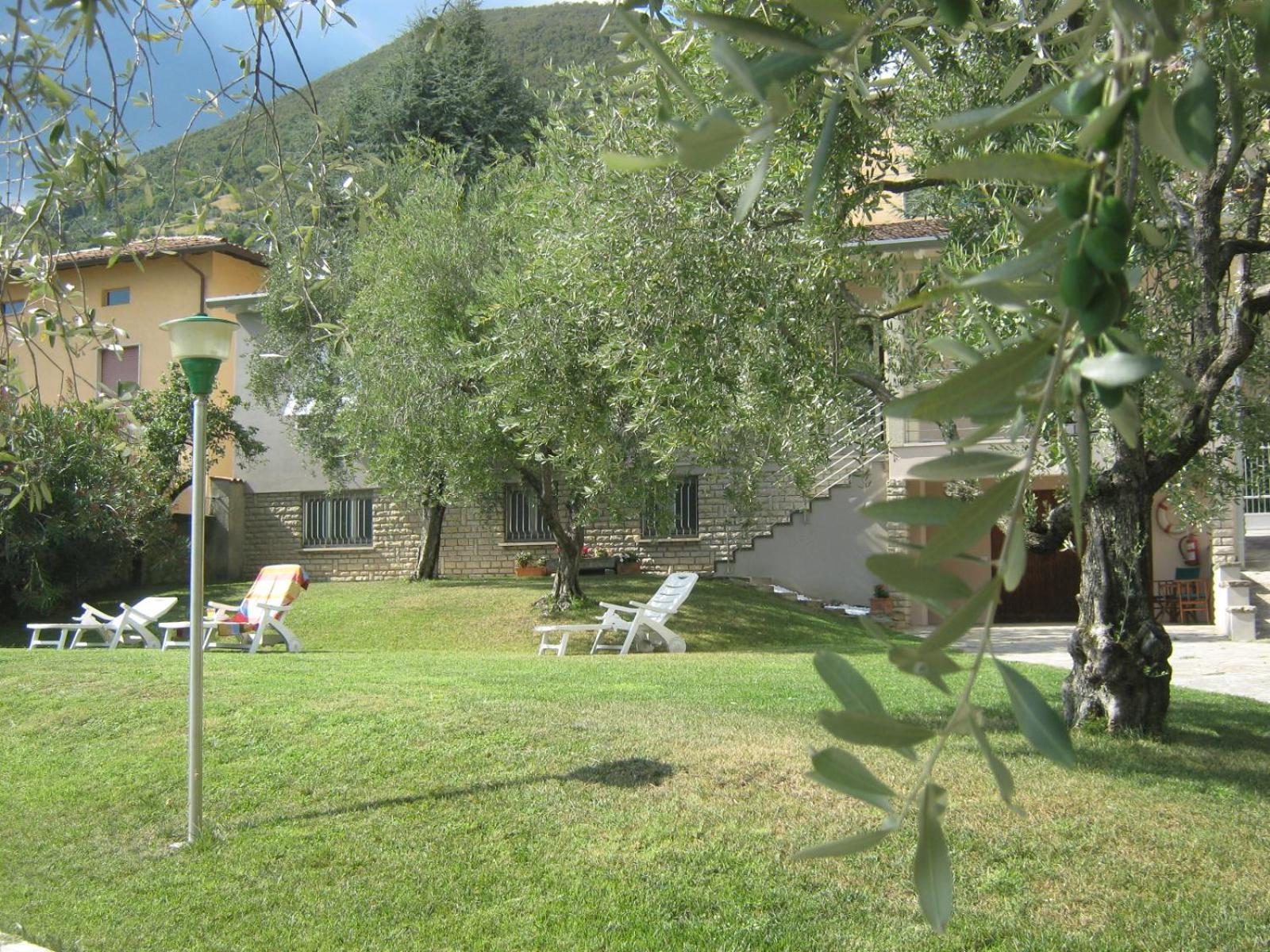 Photo 8