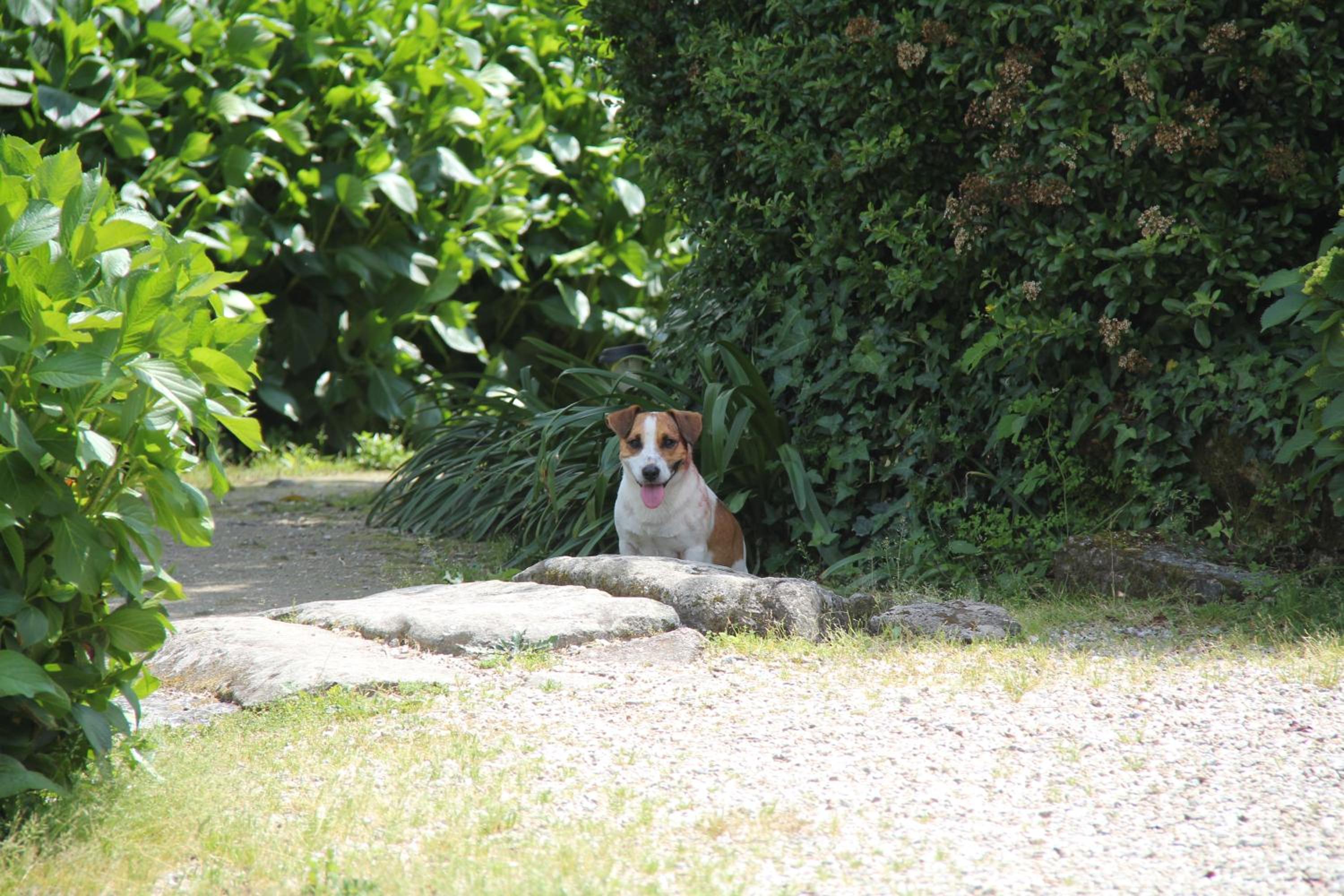 Photo 31