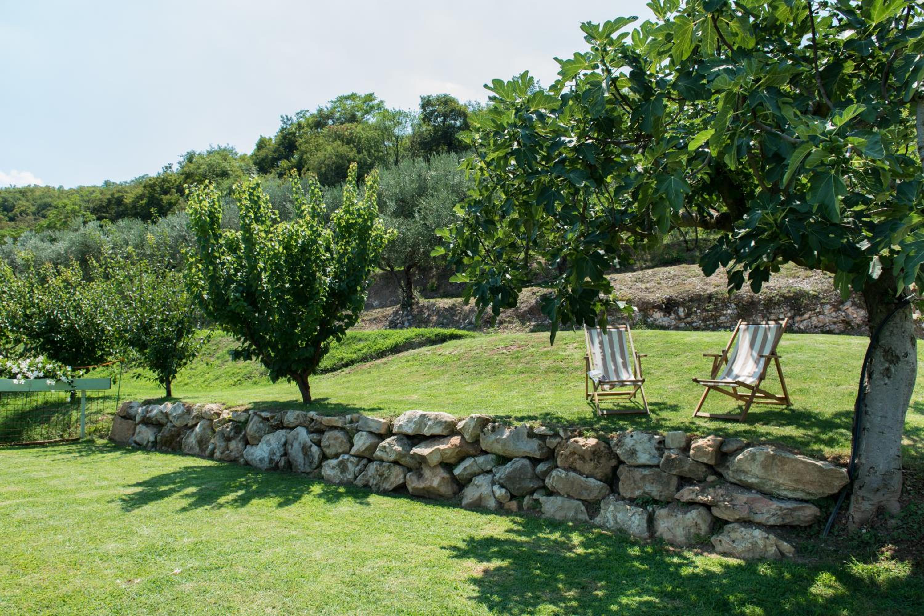 Agriturismo Caranatura view 4