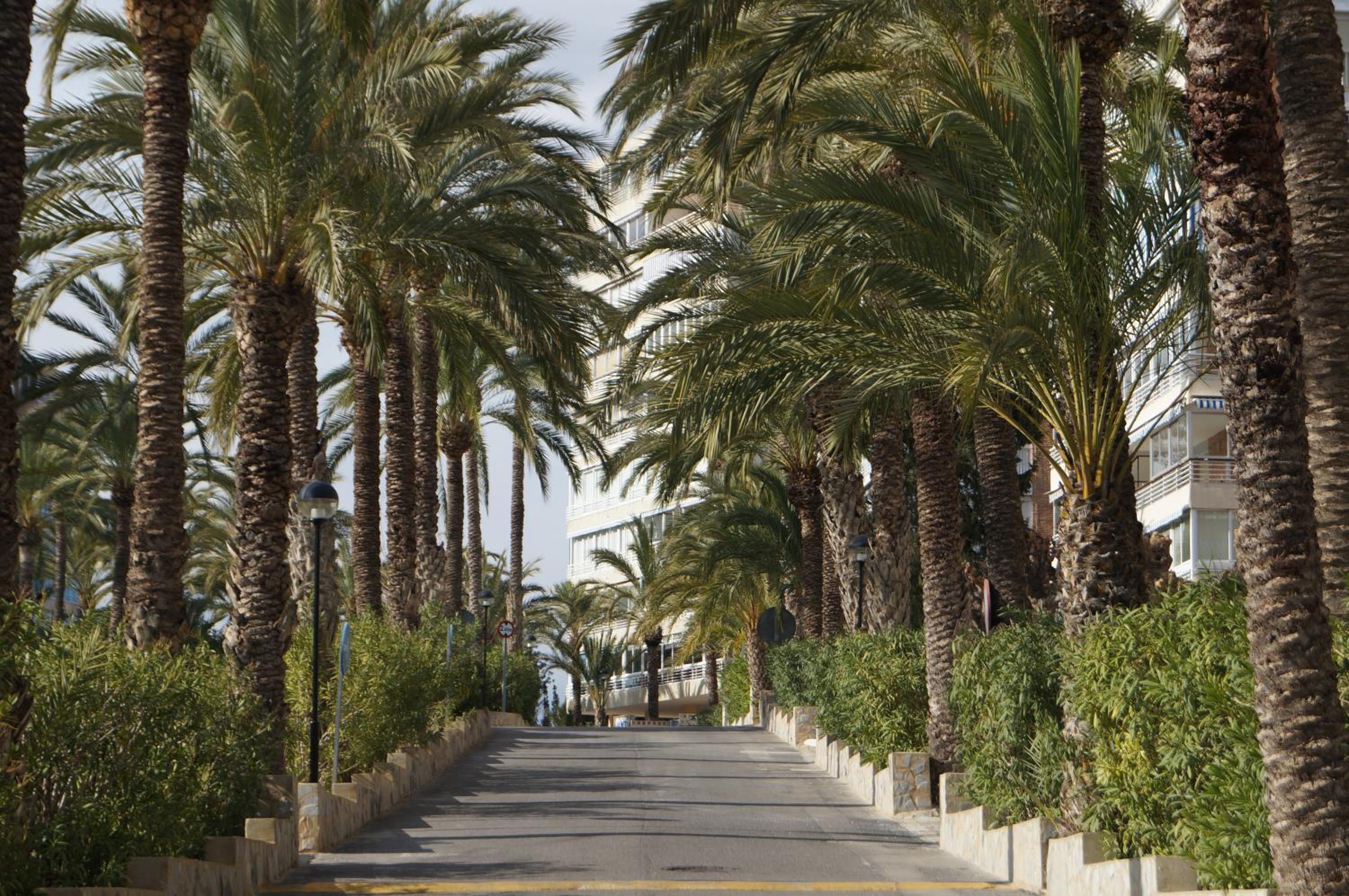 barbara 20 playa muchavista alicante view 4