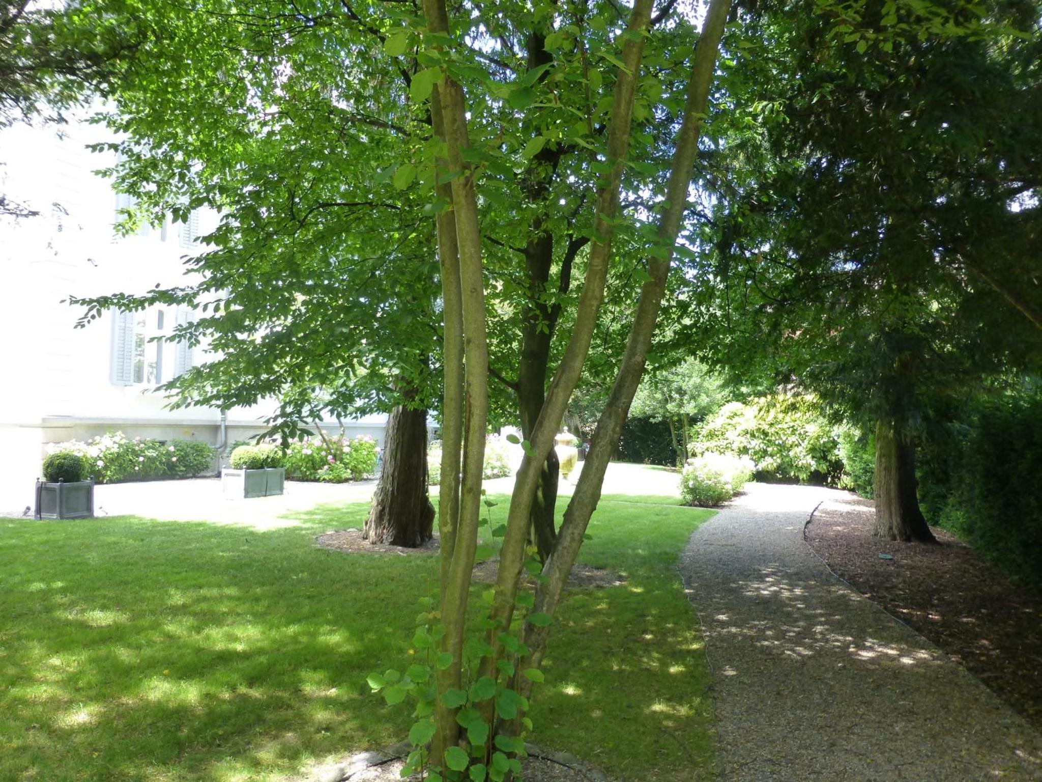 Private Villa in Central Zurich view 4