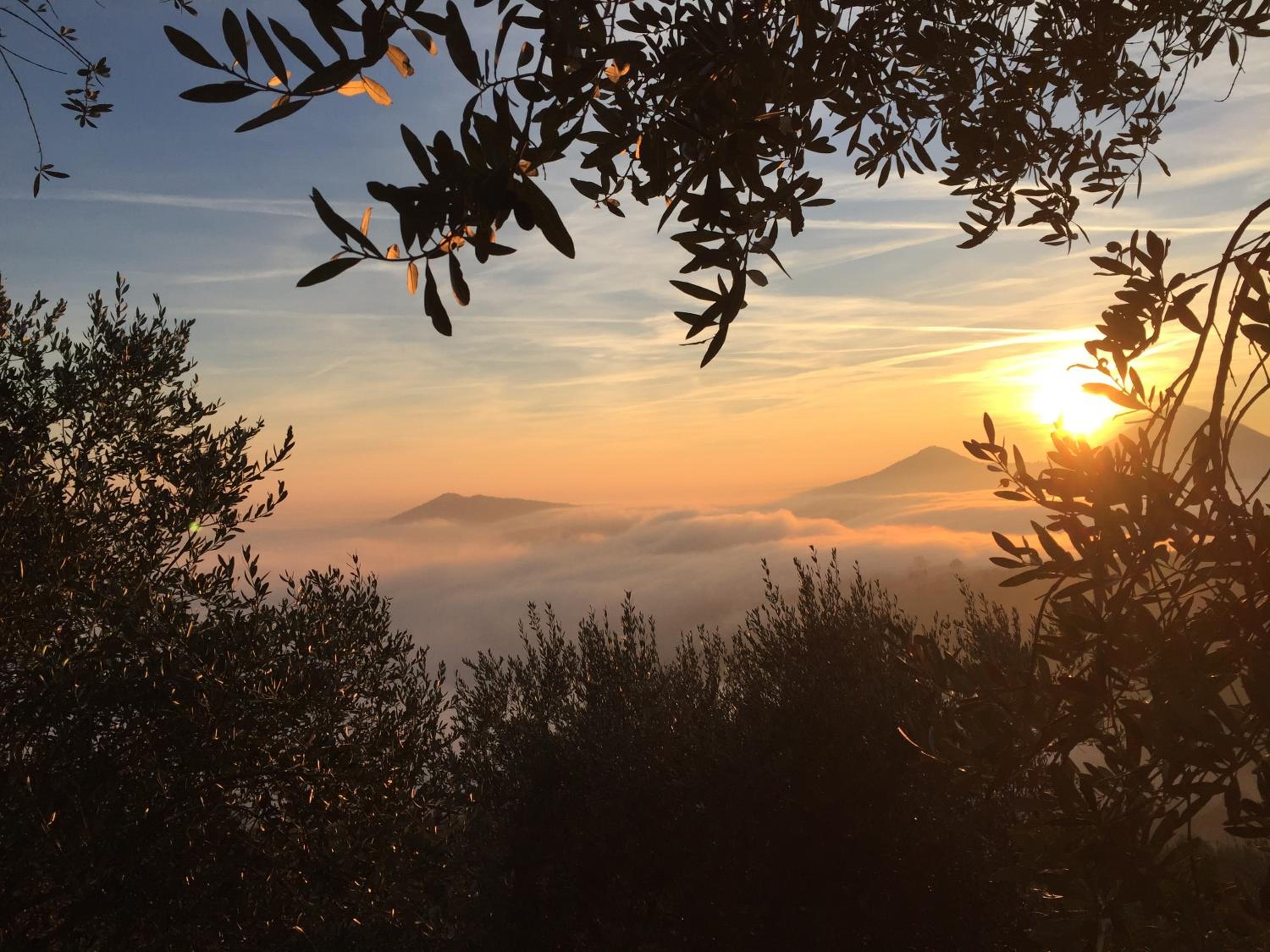 Holiday House Petrarca view 4