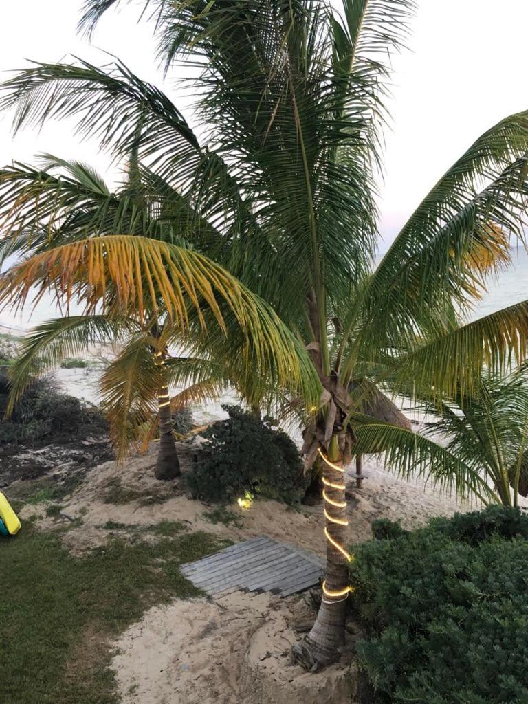 Beachfront Villa Solarium Garden House 1 view 5