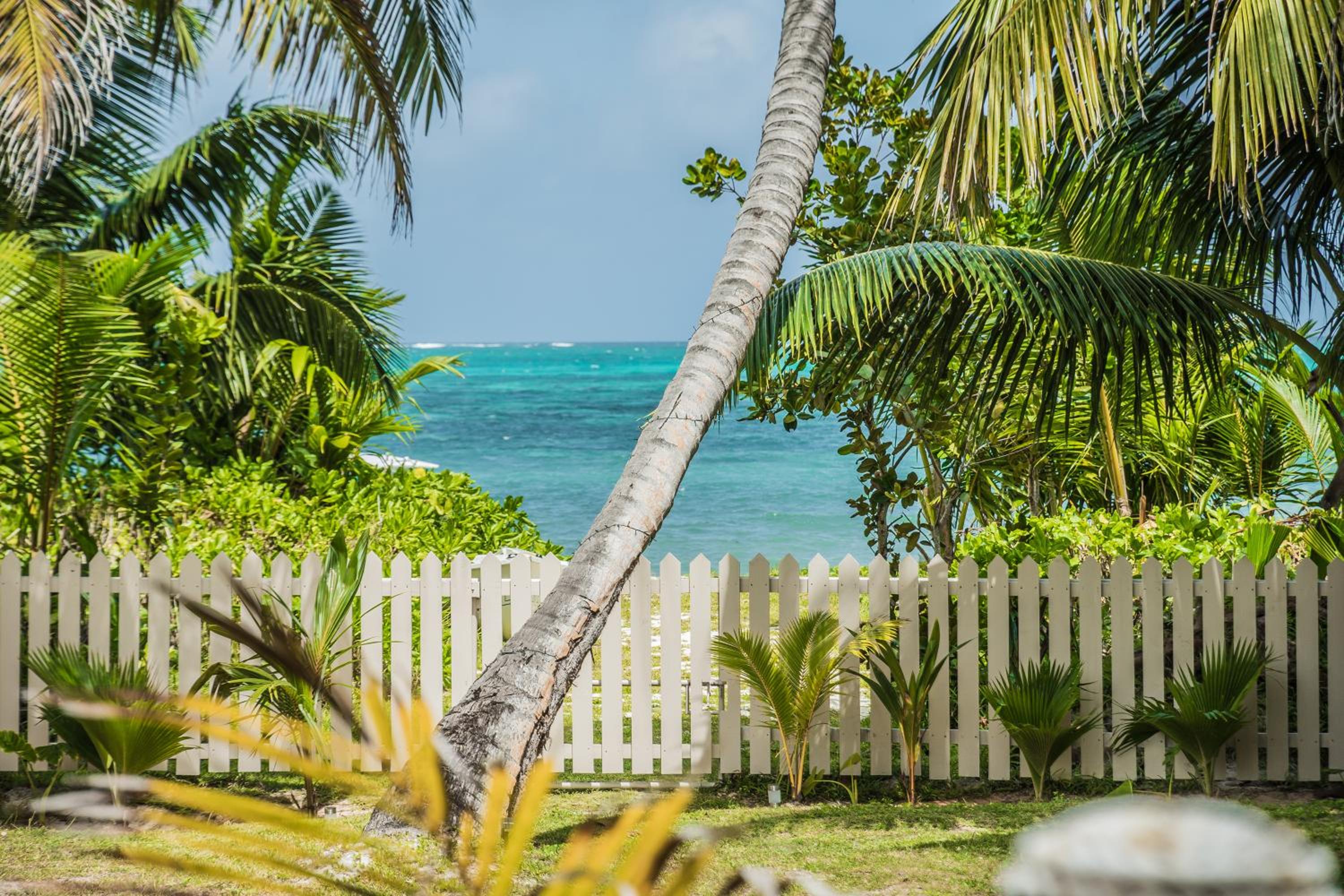 Lou Lou Bungalow photo 3