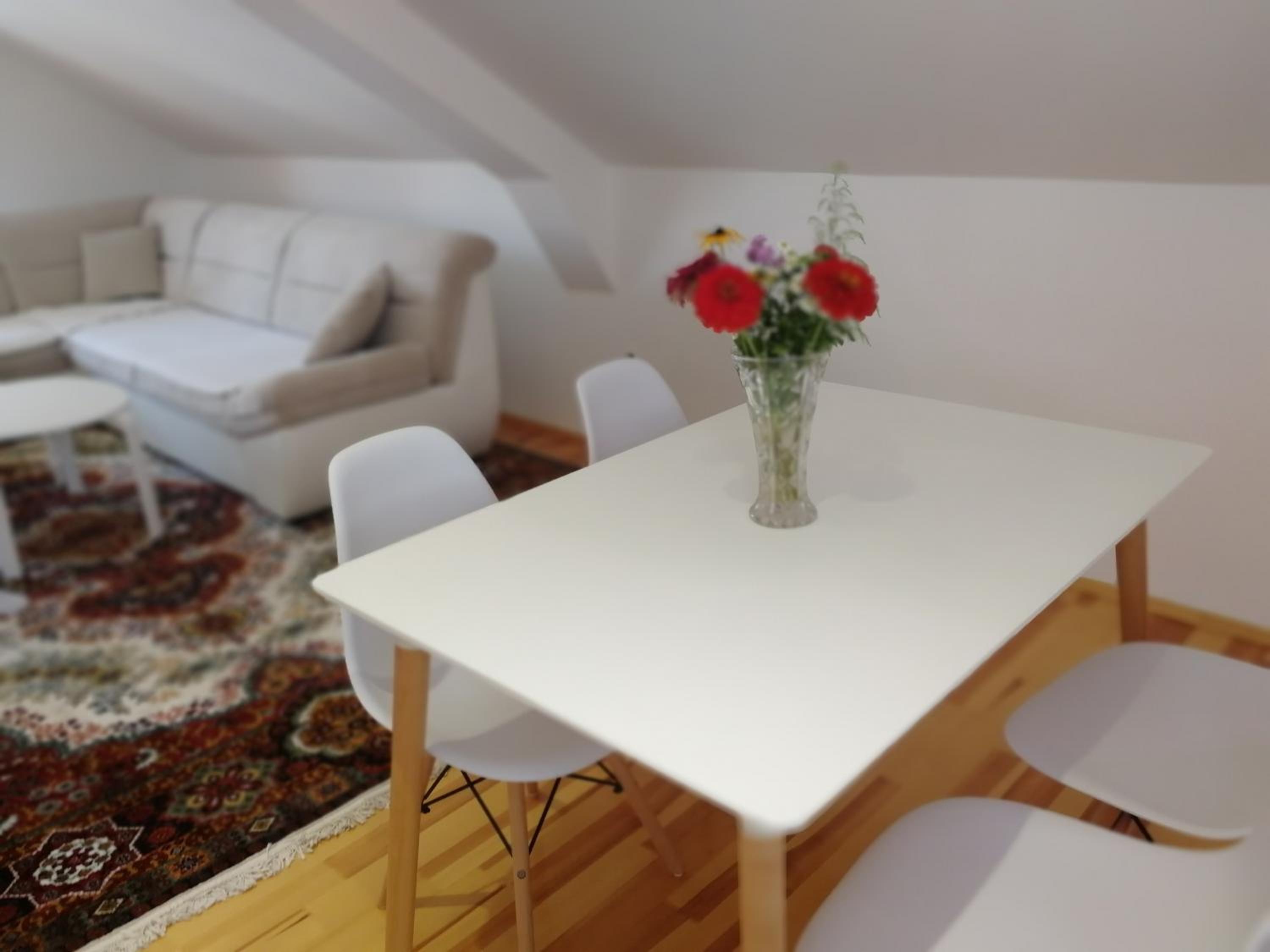 Apartman Đoković