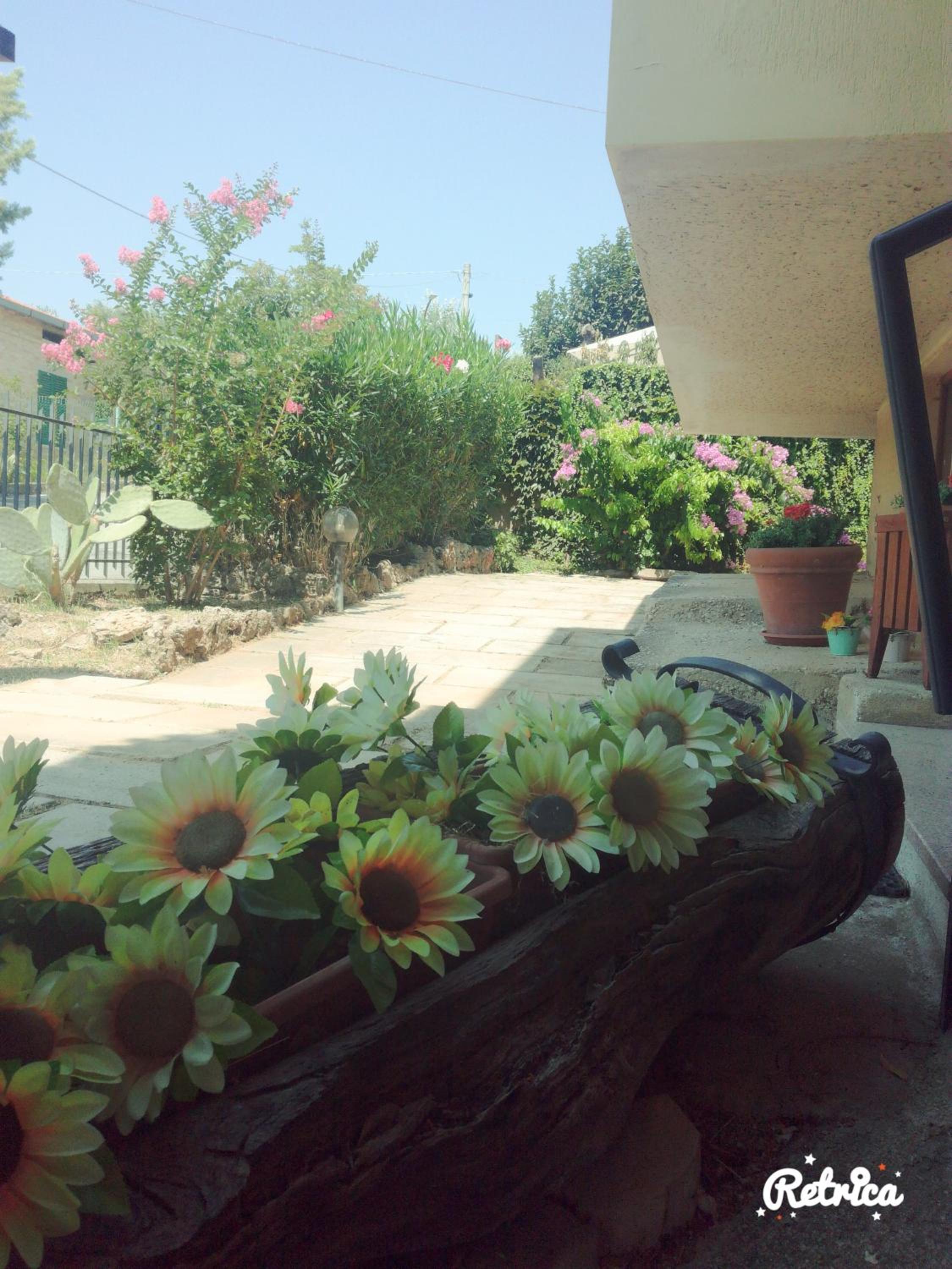 Le sorelle gemelle B&B