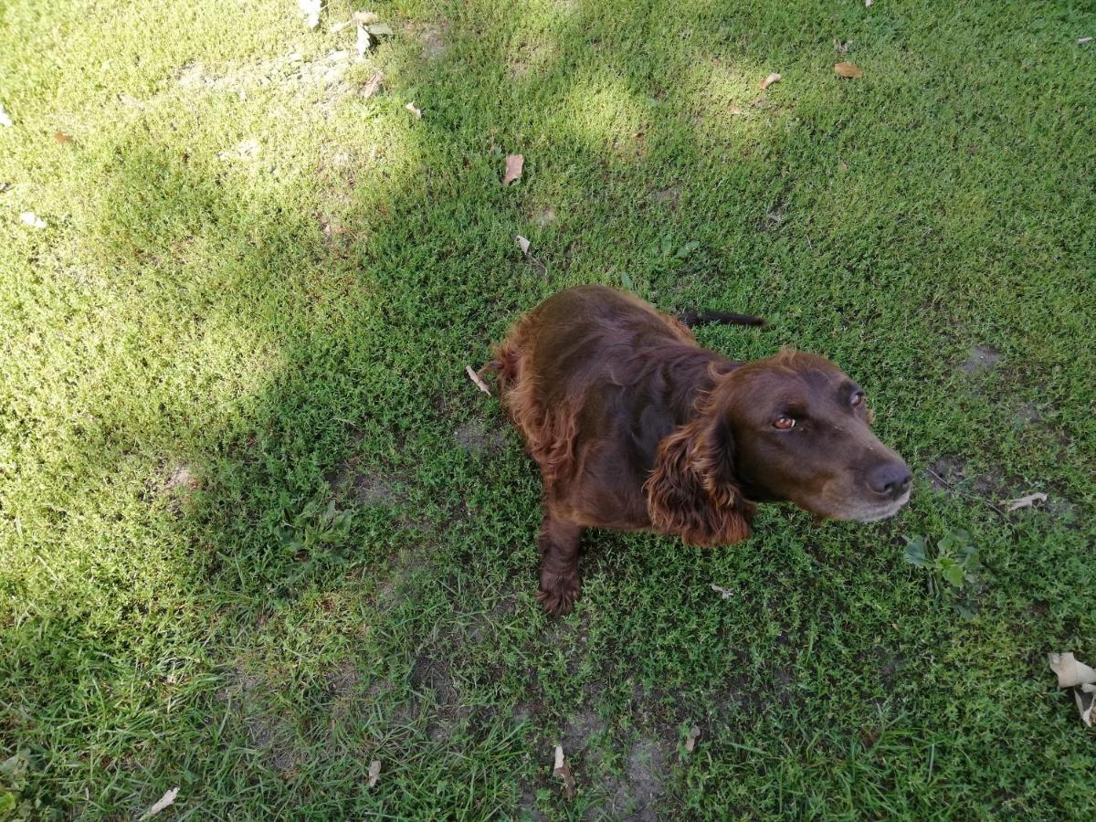 Photo 48