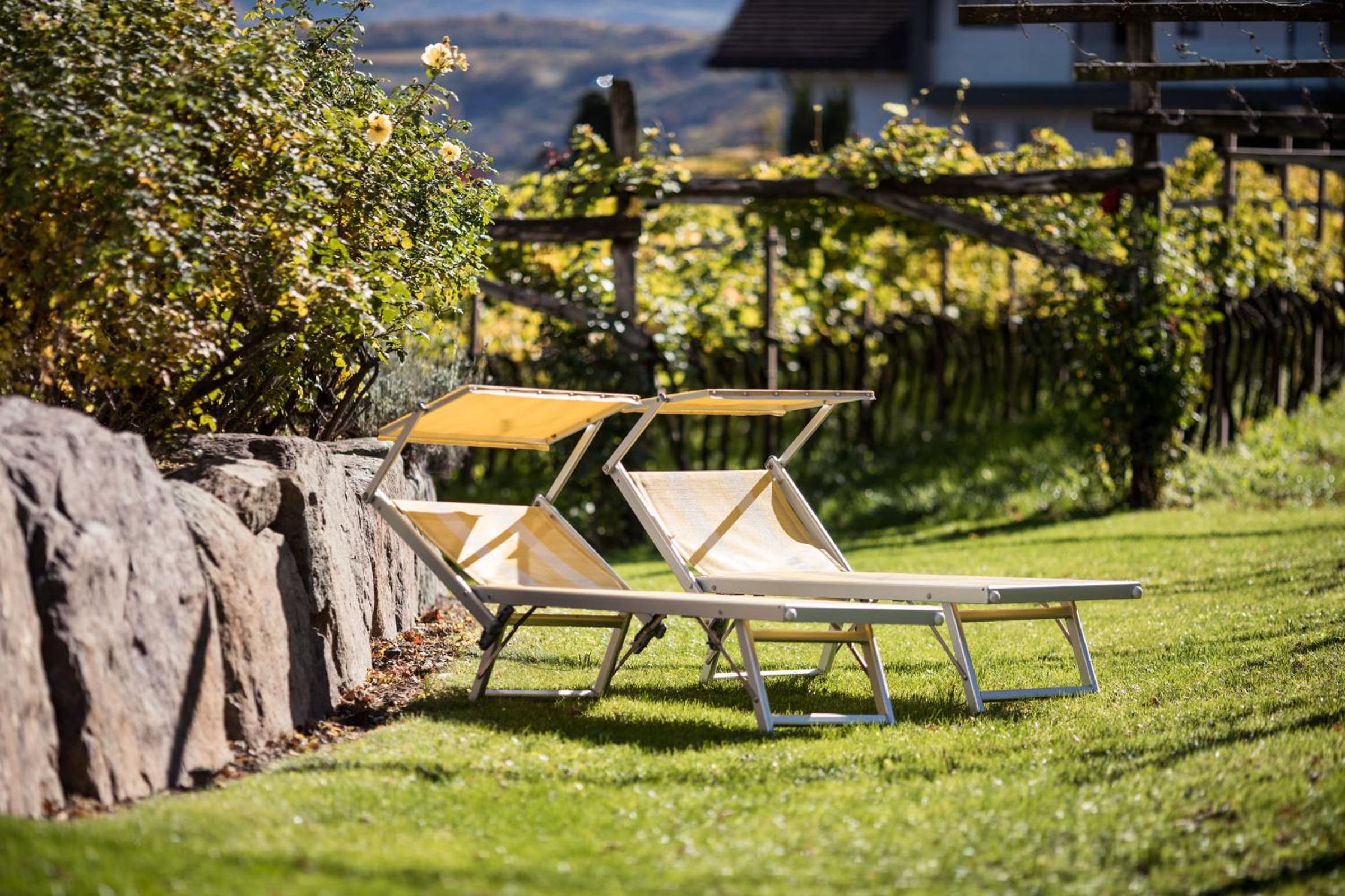 Weingut Donà view 4